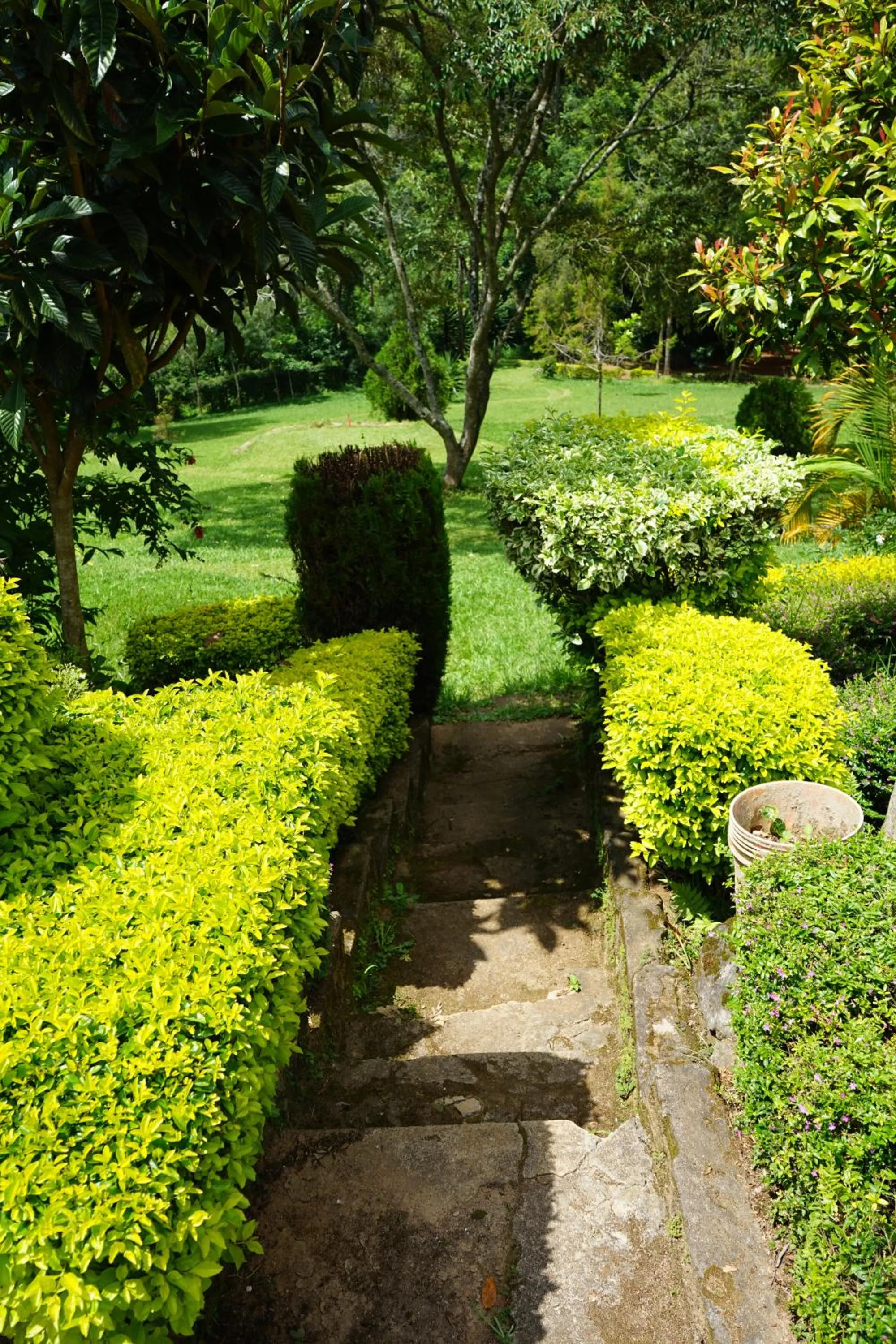 Garden in LUSHOTO EXECUTIVE LODGE