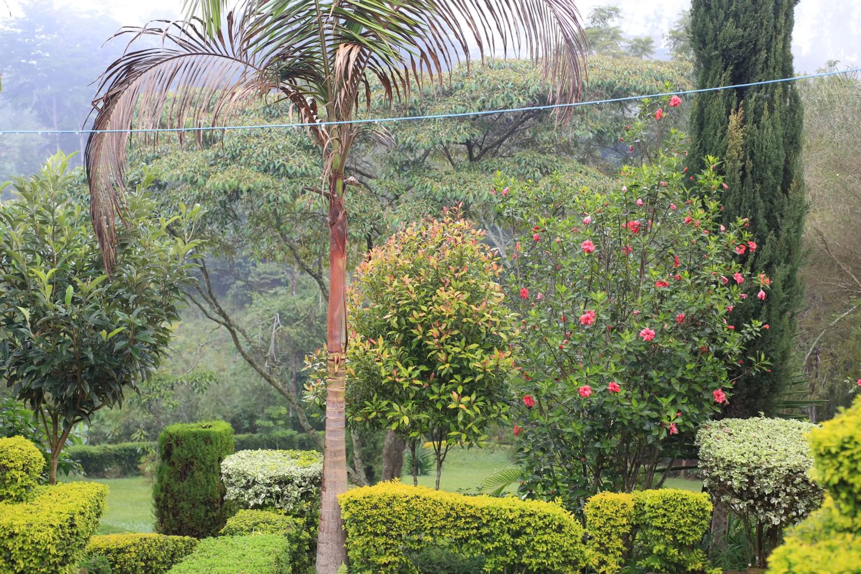 Natural landscape in LUSHOTO EXECUTIVE LODGE