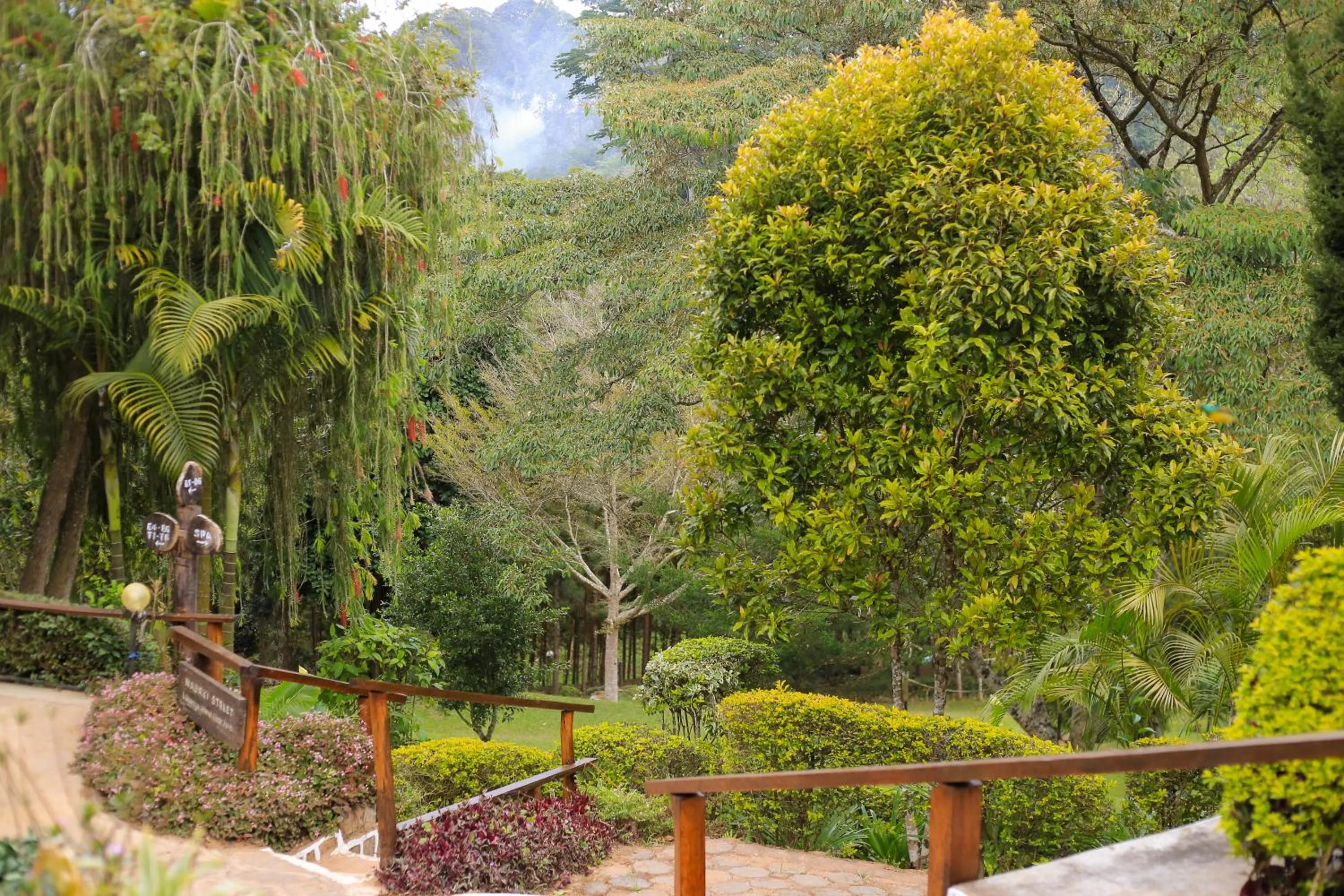 Natural landscape in LUSHOTO EXECUTIVE LODGE