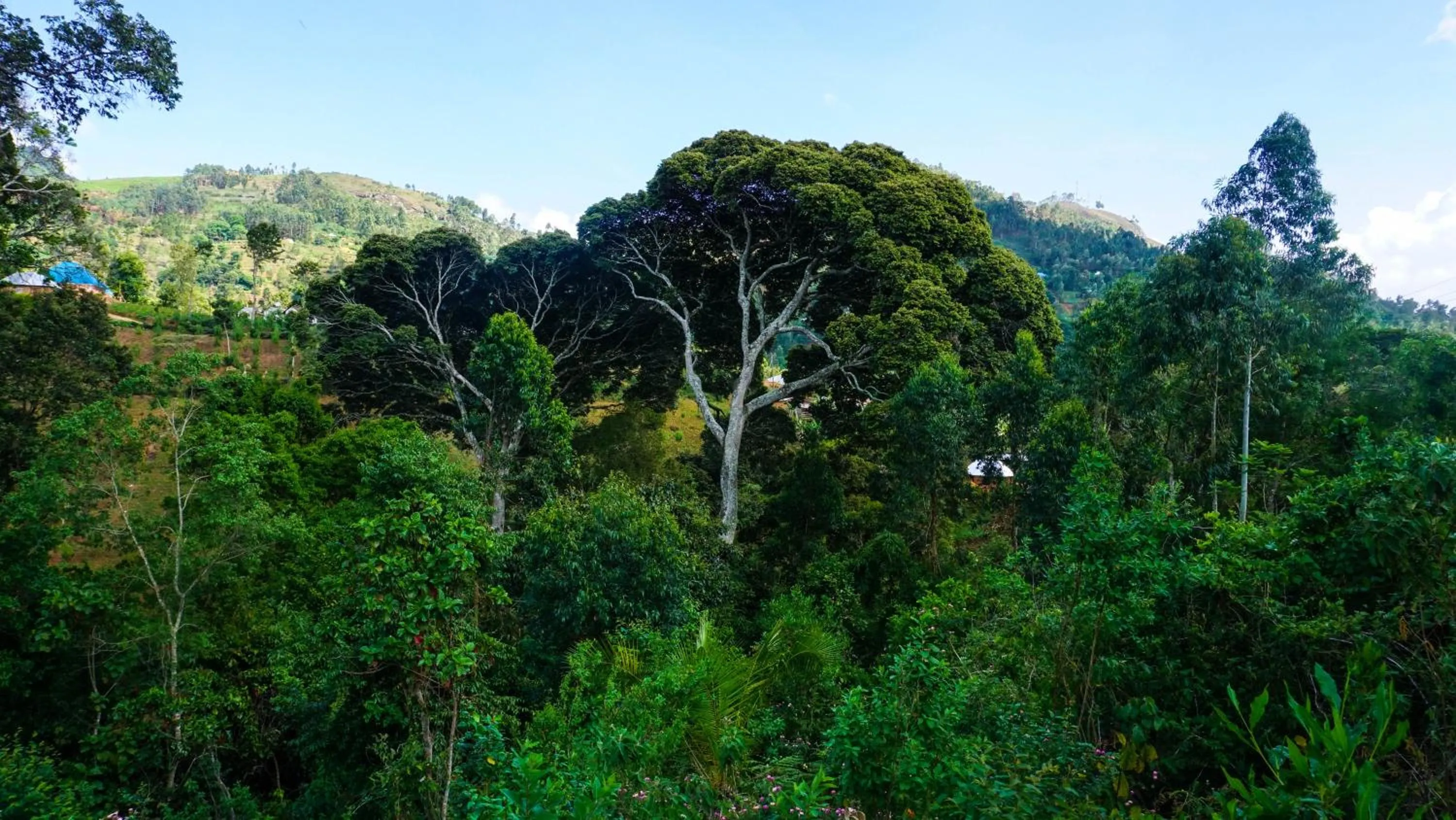 River view in LUSHOTO EXECUTIVE LODGE