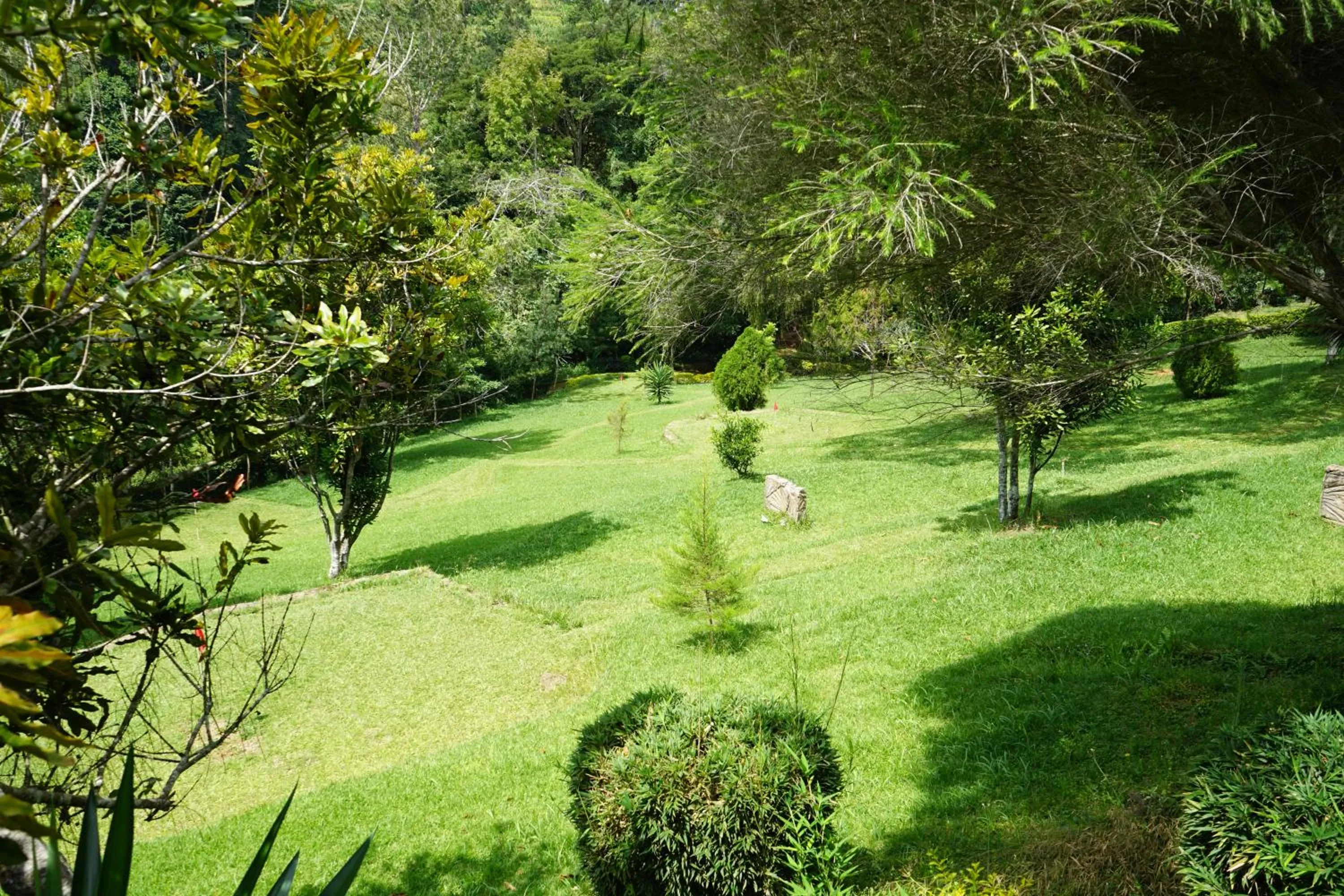 Garden in LUSHOTO EXECUTIVE LODGE