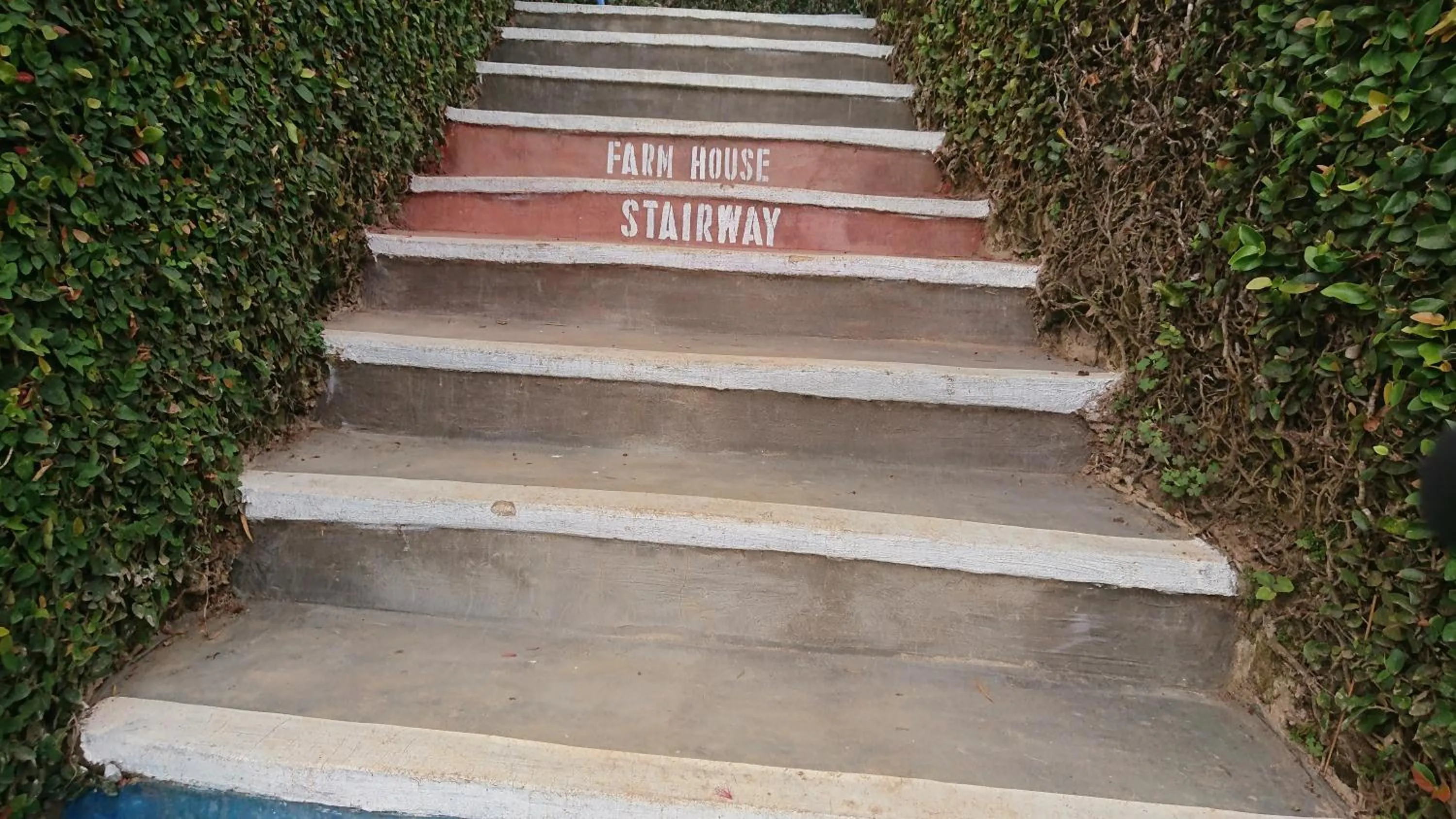 Area and facilities in LUSHOTO EXECUTIVE LODGE