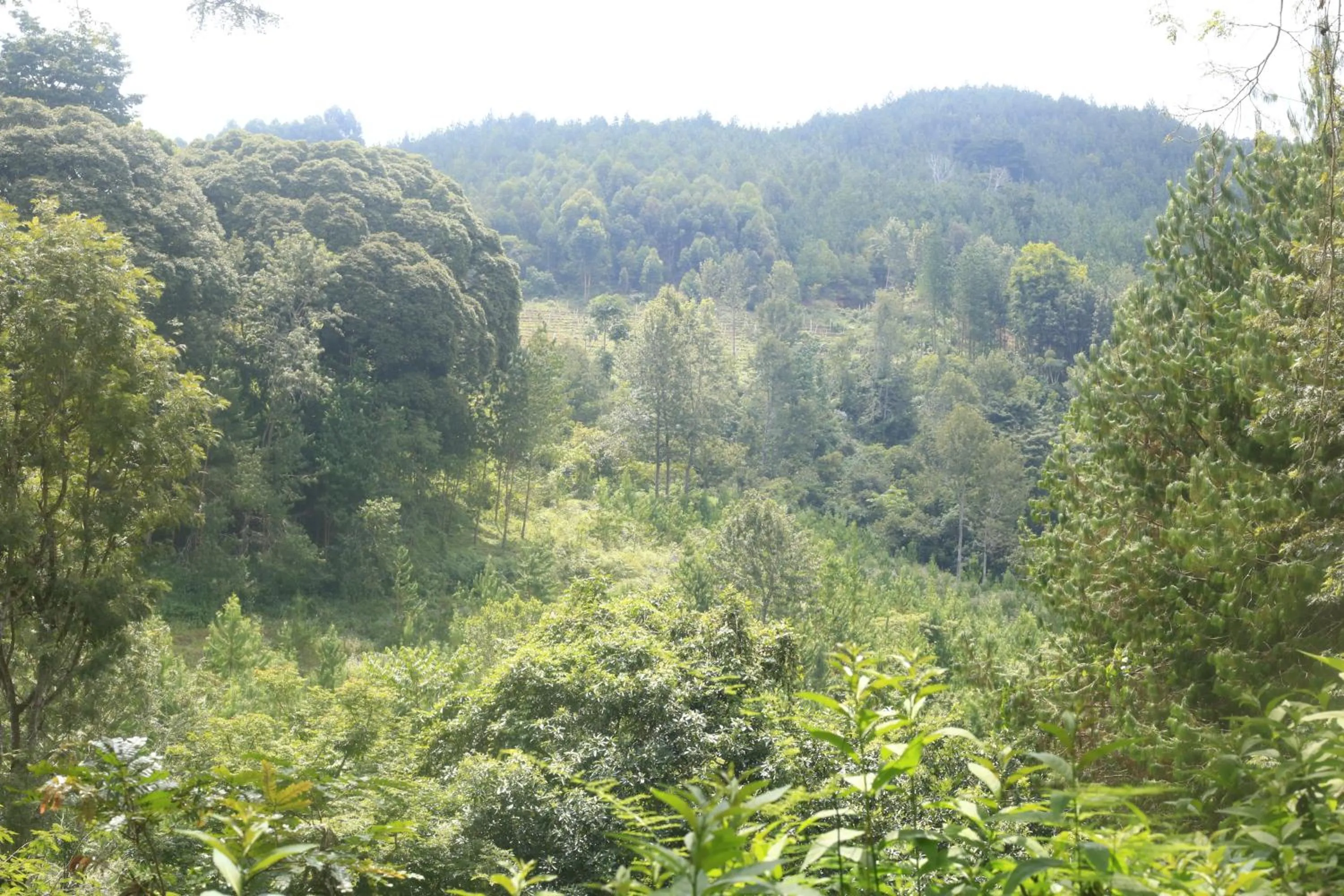 Property building in LUSHOTO EXECUTIVE LODGE