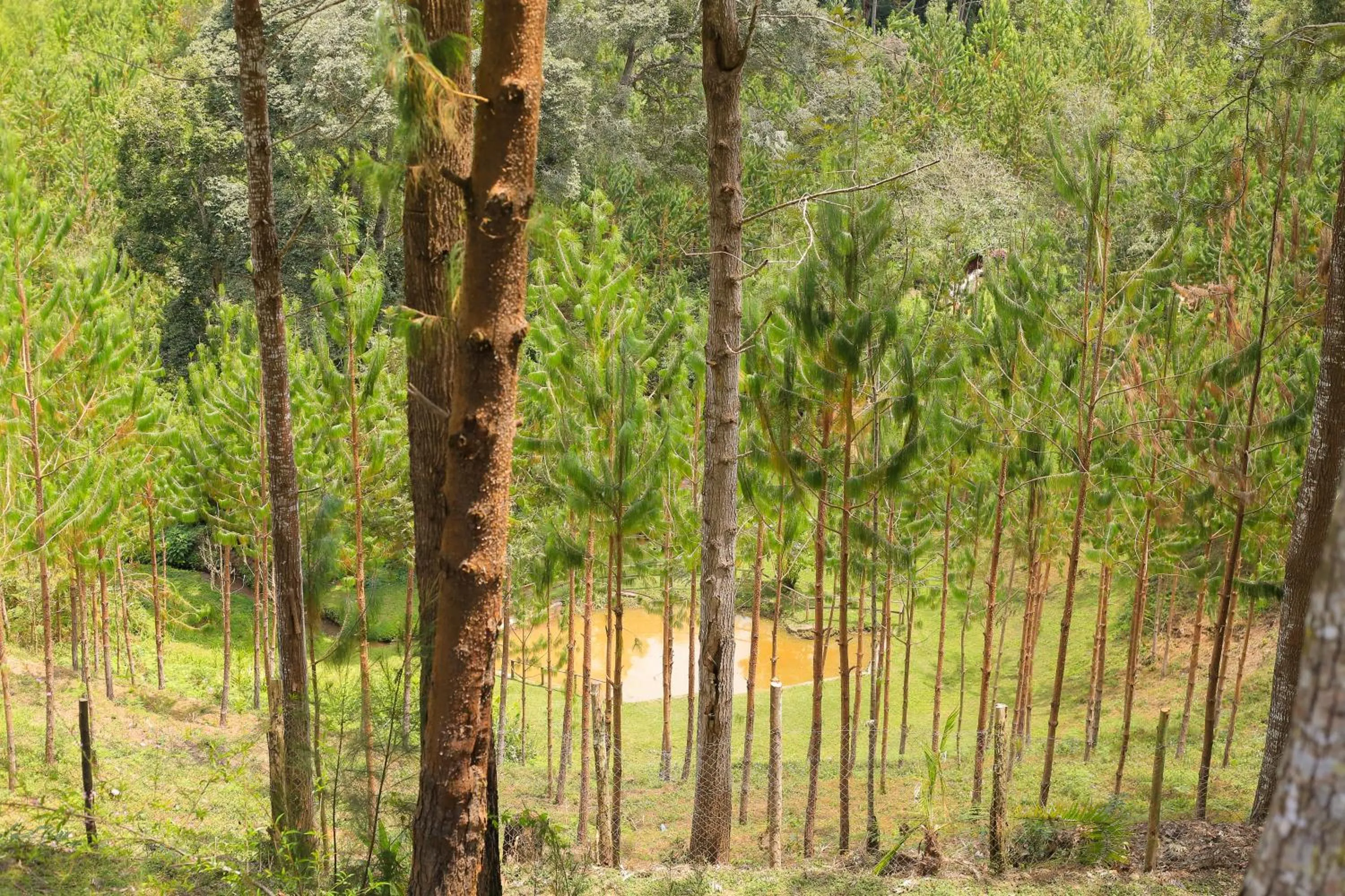 Fishing in LUSHOTO EXECUTIVE LODGE