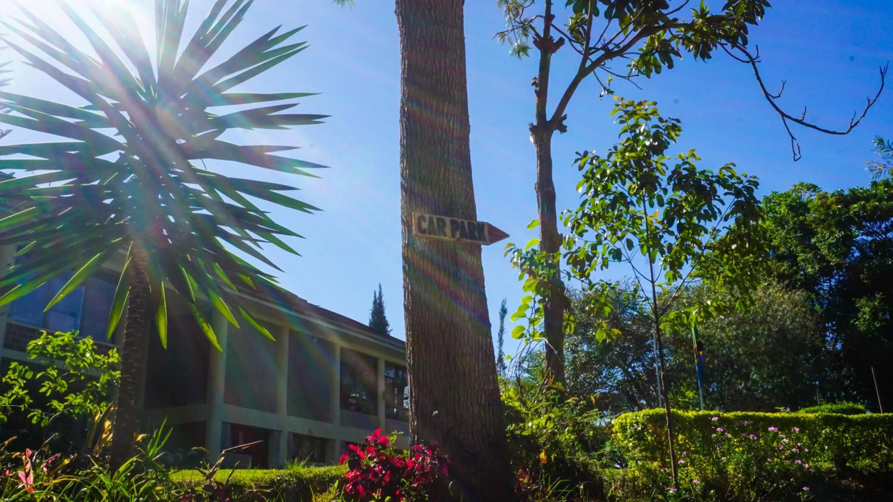 Restaurant/places to eat in LUSHOTO EXECUTIVE LODGE