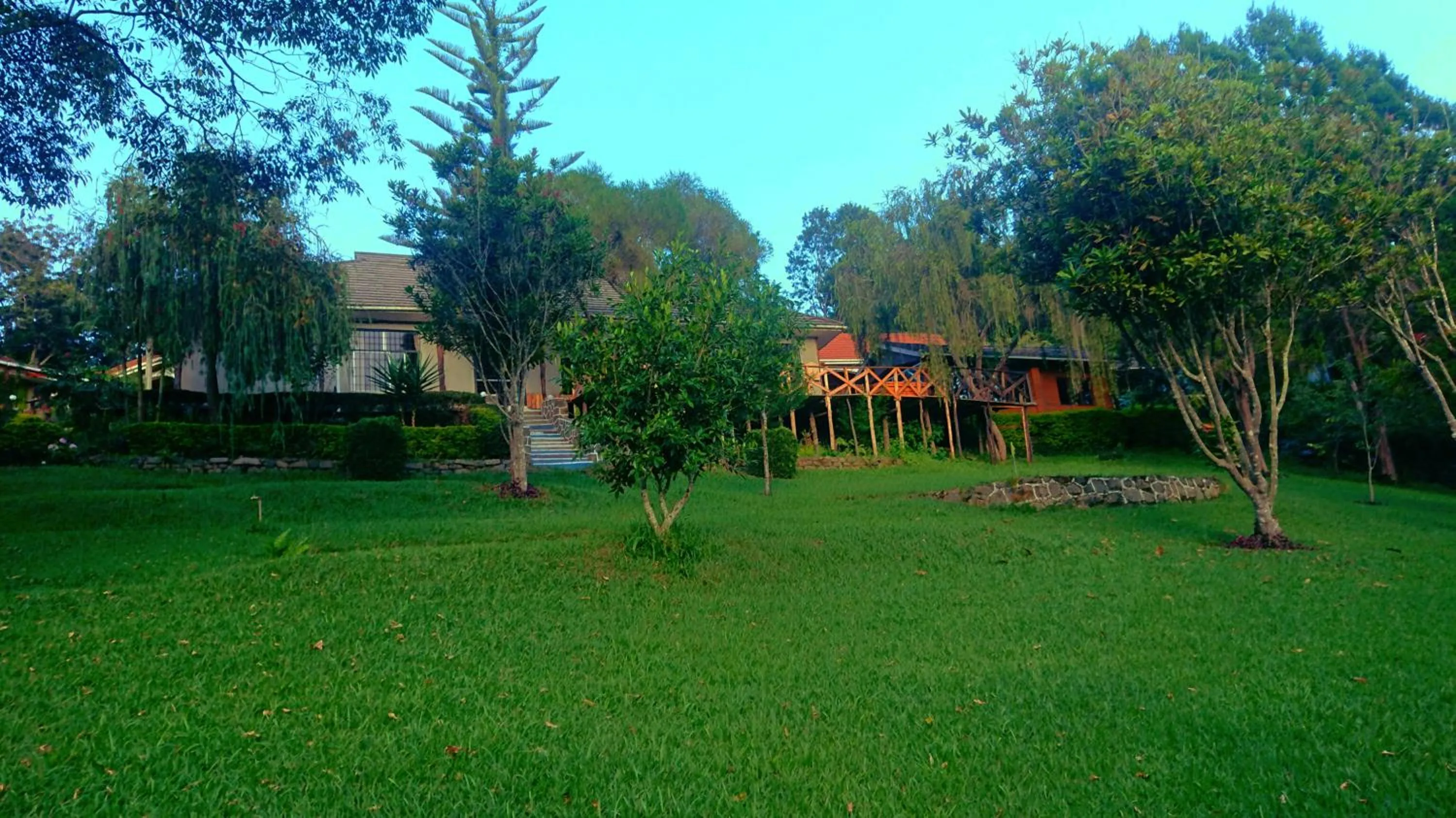 View (from property/room) in LUSHOTO EXECUTIVE LODGE