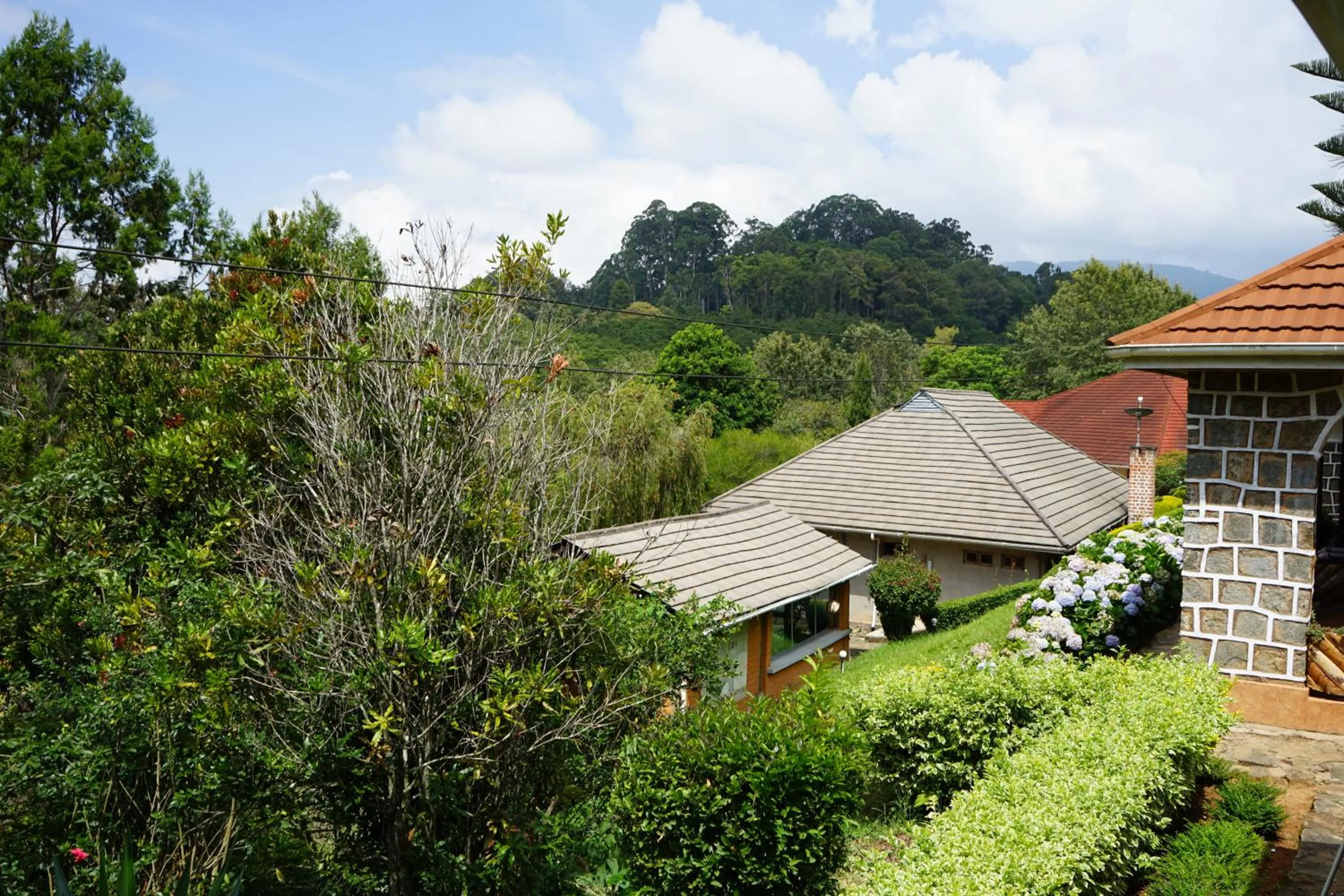 Natural landscape in LUSHOTO EXECUTIVE LODGE