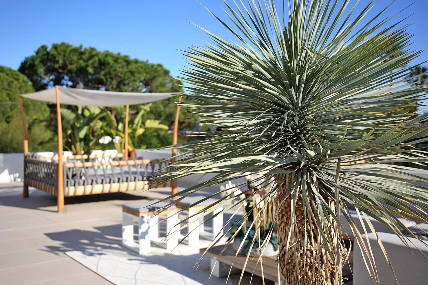 Property building in Casa Bodhi Boutique Hotel & Spa