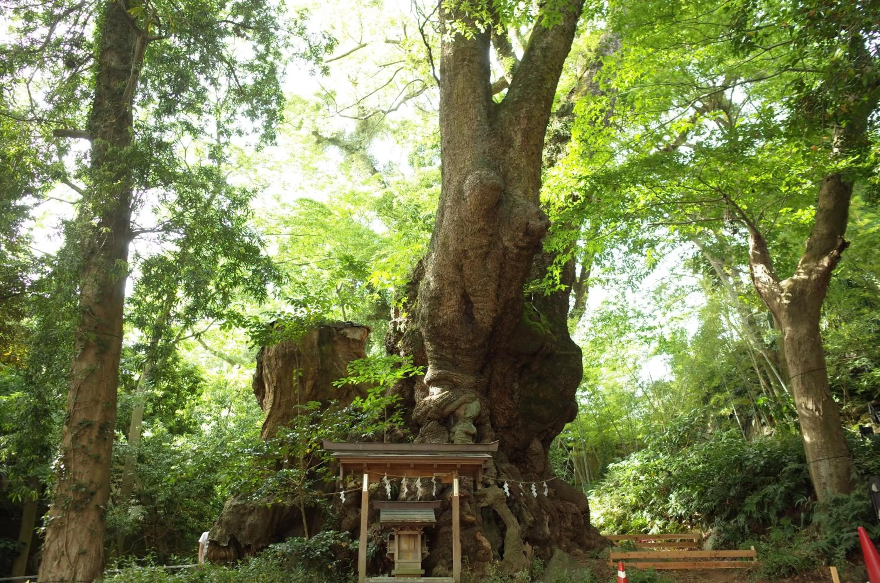 Nearby landmark in bnb+Atami Resort