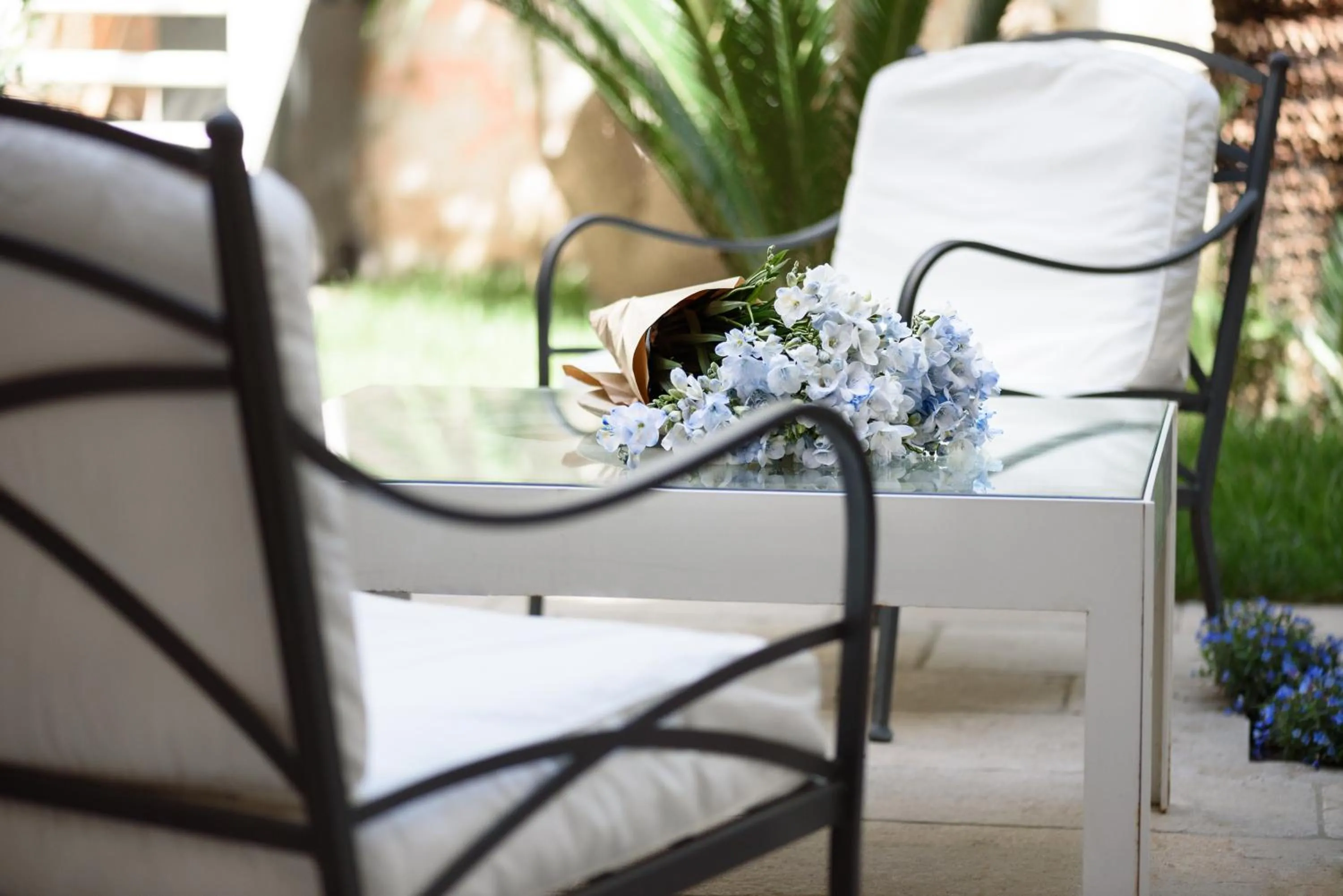 Garden in Palazzo Dei Dondoli