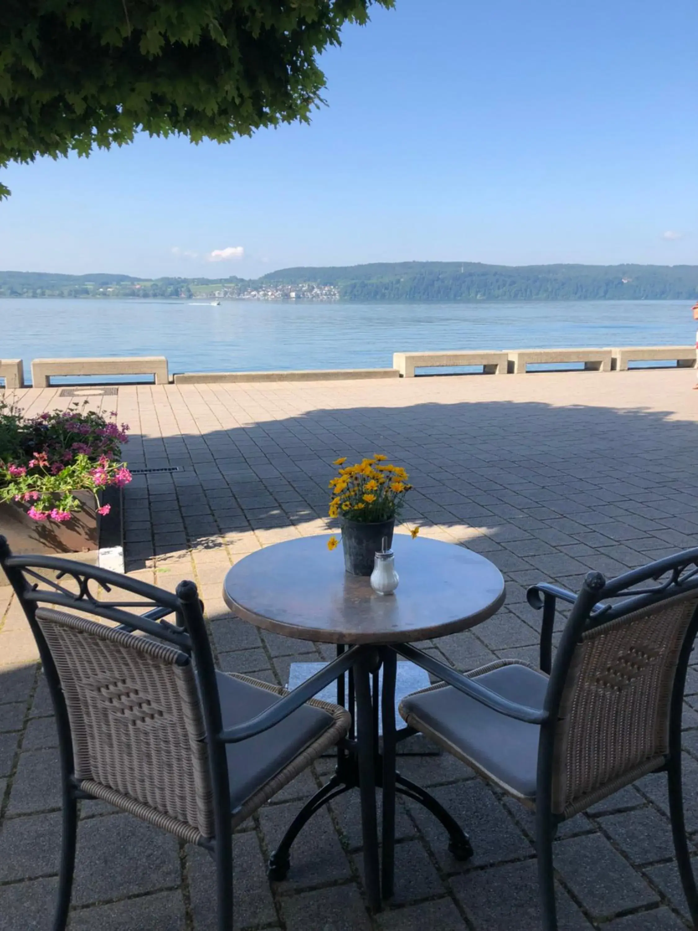 Single Room with Lake View in Hotel Seegarten Single Room with Lake View in Hotel Seegarten