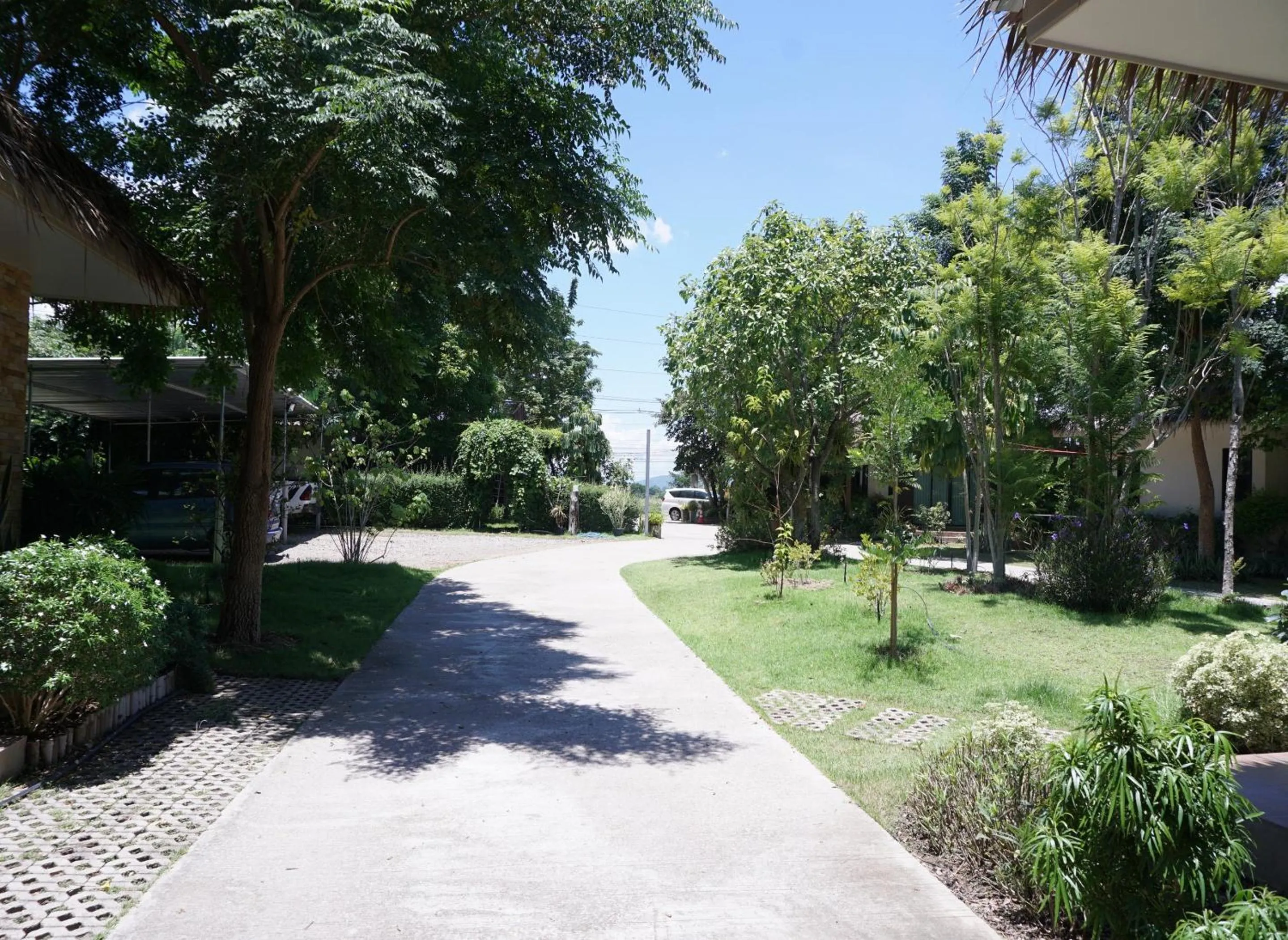 Garden in Papa's Home And Rabbit Café