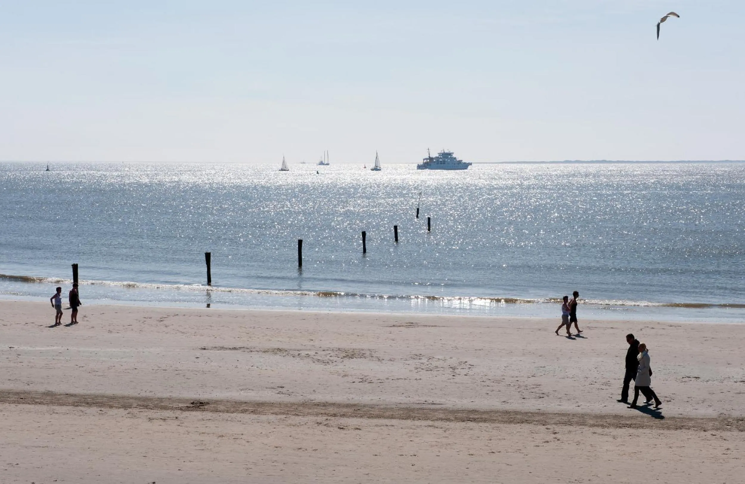 Area and facilities in Michels Thalasso Hotel Nordseehaus