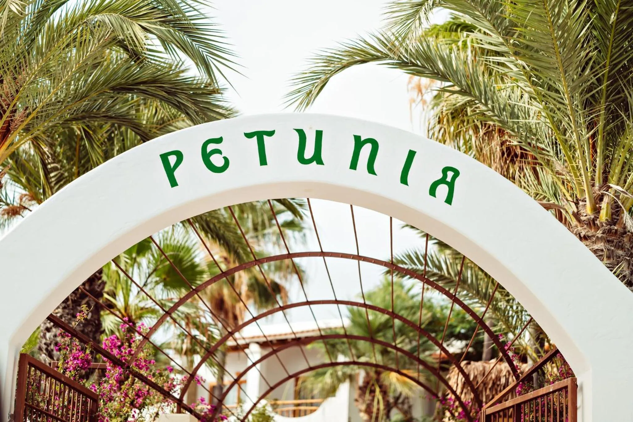 Property building in Petunia Ibiza, a Beaumier hotel