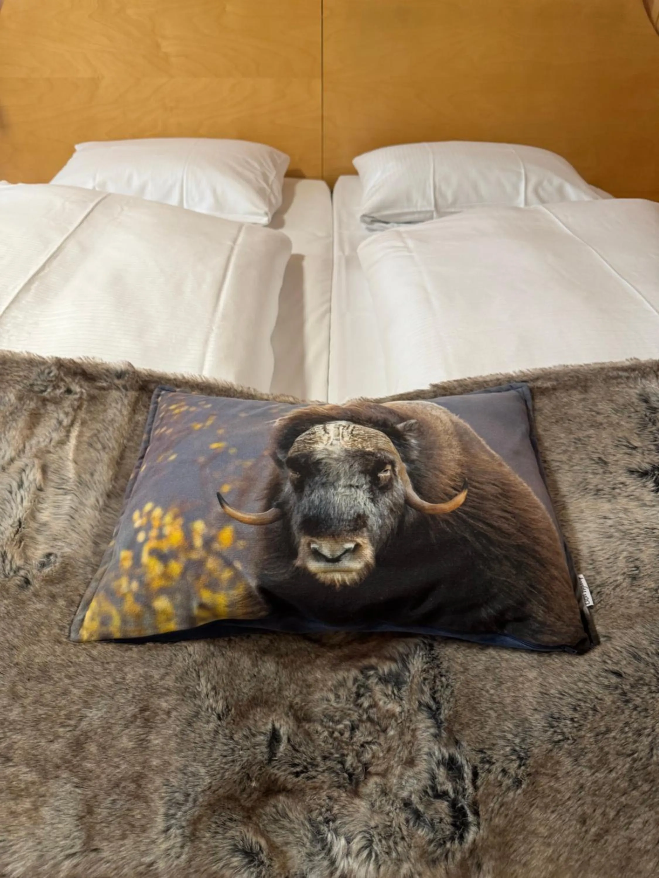 Bed in Toftemo Turiststasjon