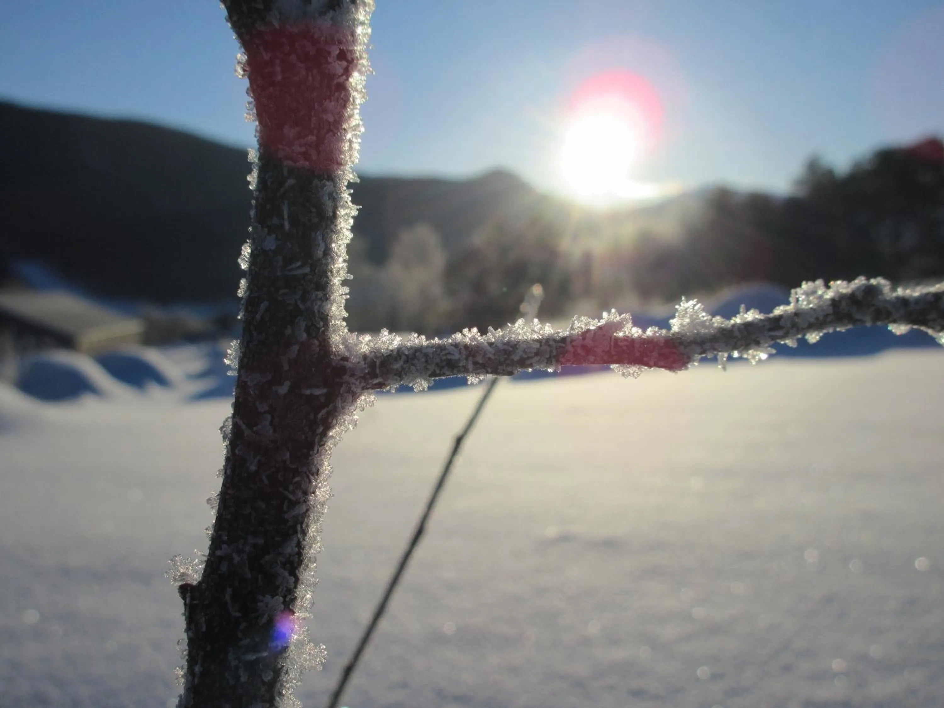 Off site in Toftemo Turiststasjon