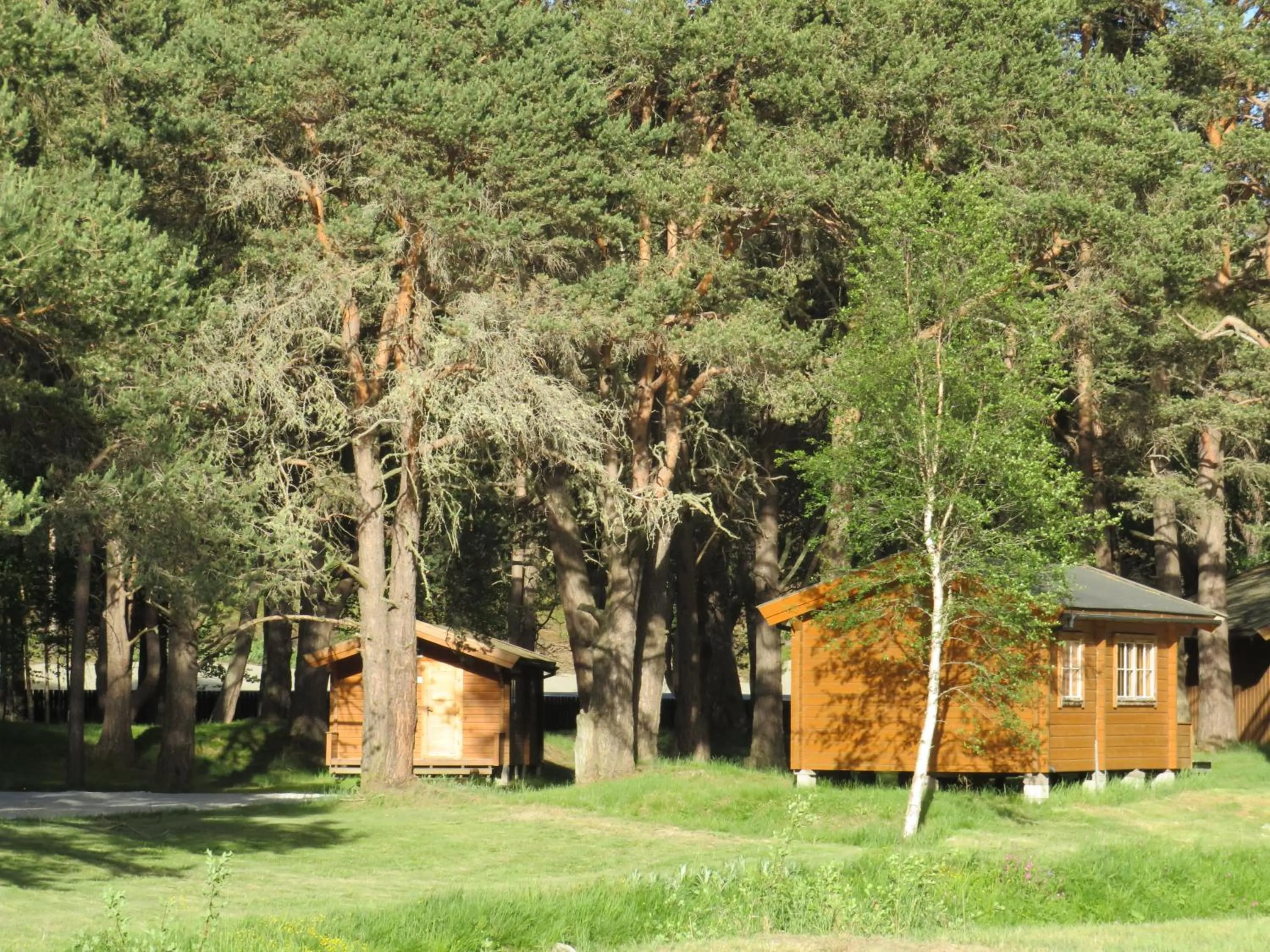 Property building in Toftemo Turiststasjon