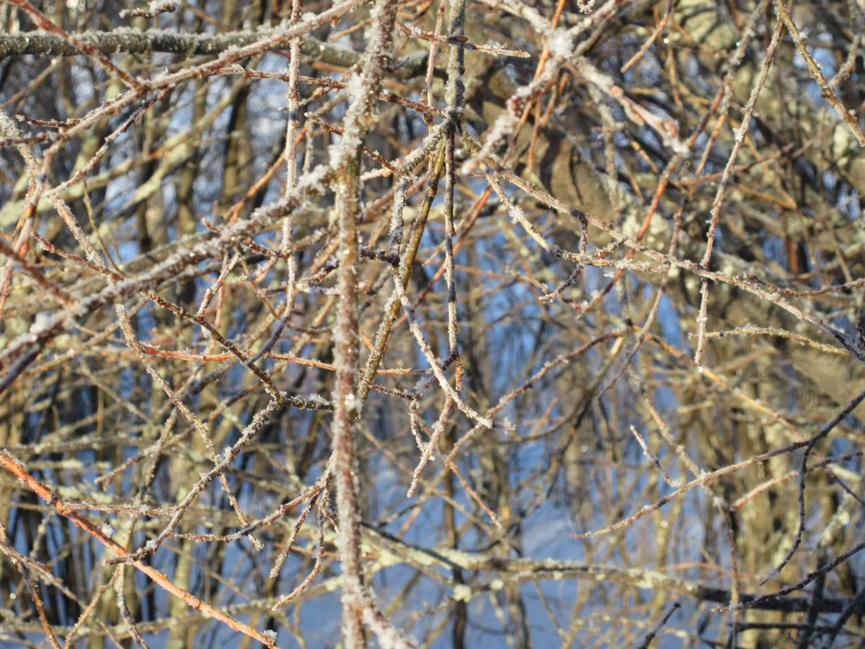 Off site in Toftemo Turiststasjon