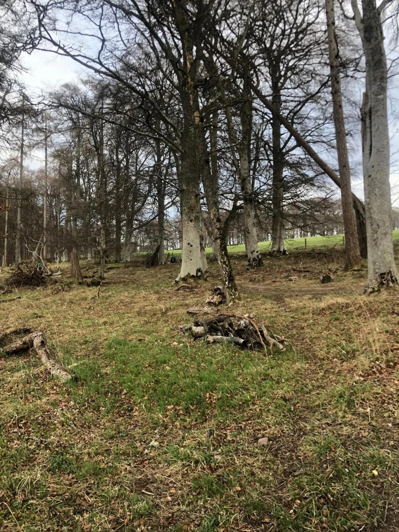 Natural landscape in Appin Apartment