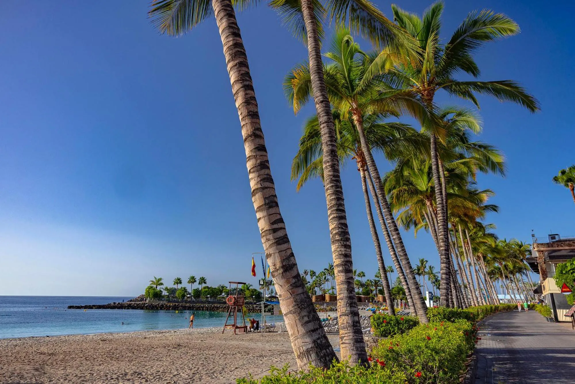 Beach in Anfi del Mar 1