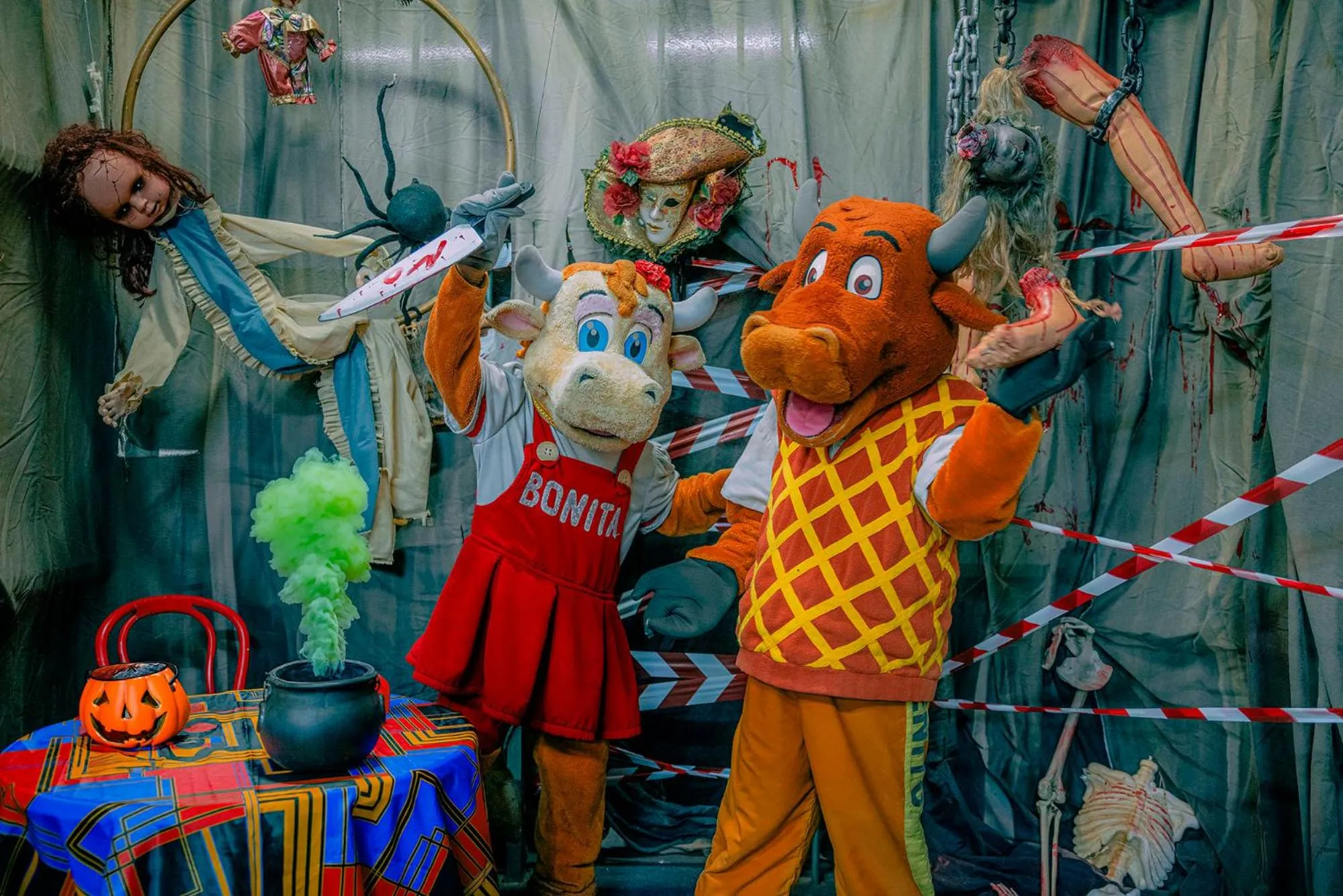 Pets in Anfi del Mar 1