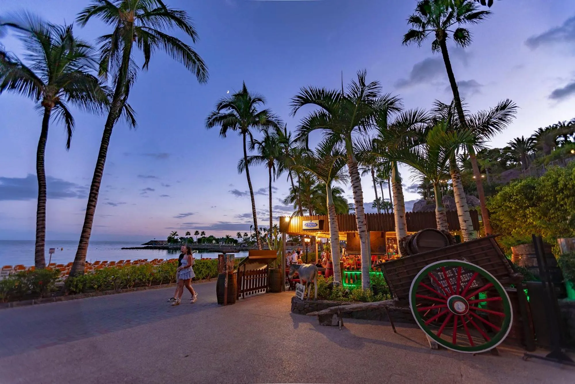 Restaurant/places to eat in Anfi del Mar 2