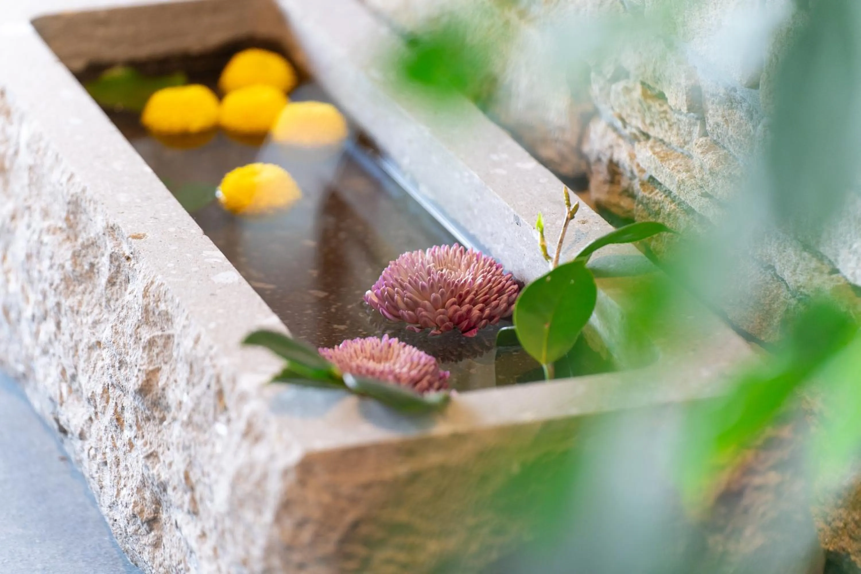 Lobby or reception in NISEKO Inn of Youtei Raku Suisan