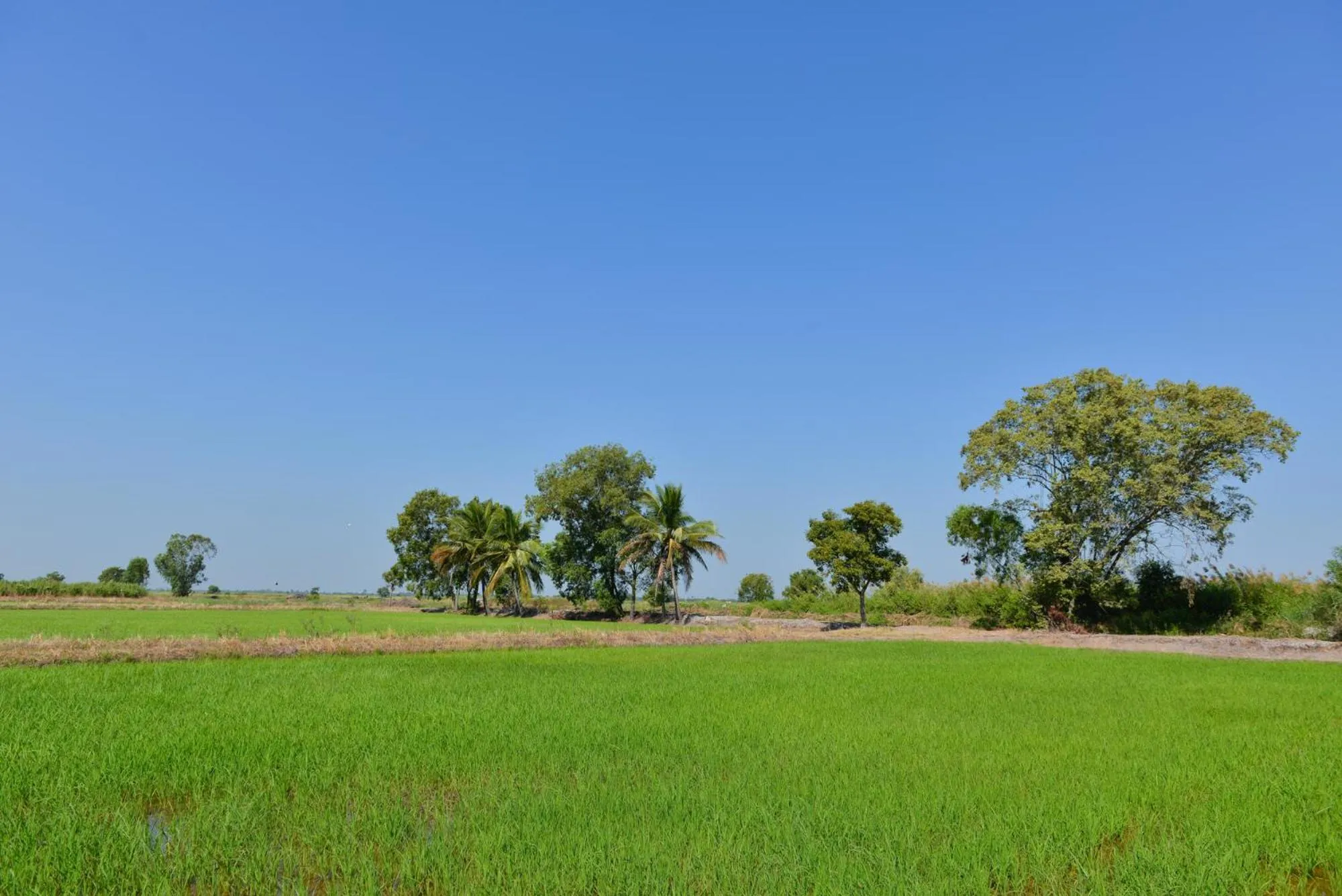 Natural landscape in Sappaya Hotel By Lotus Valley Golf Resort