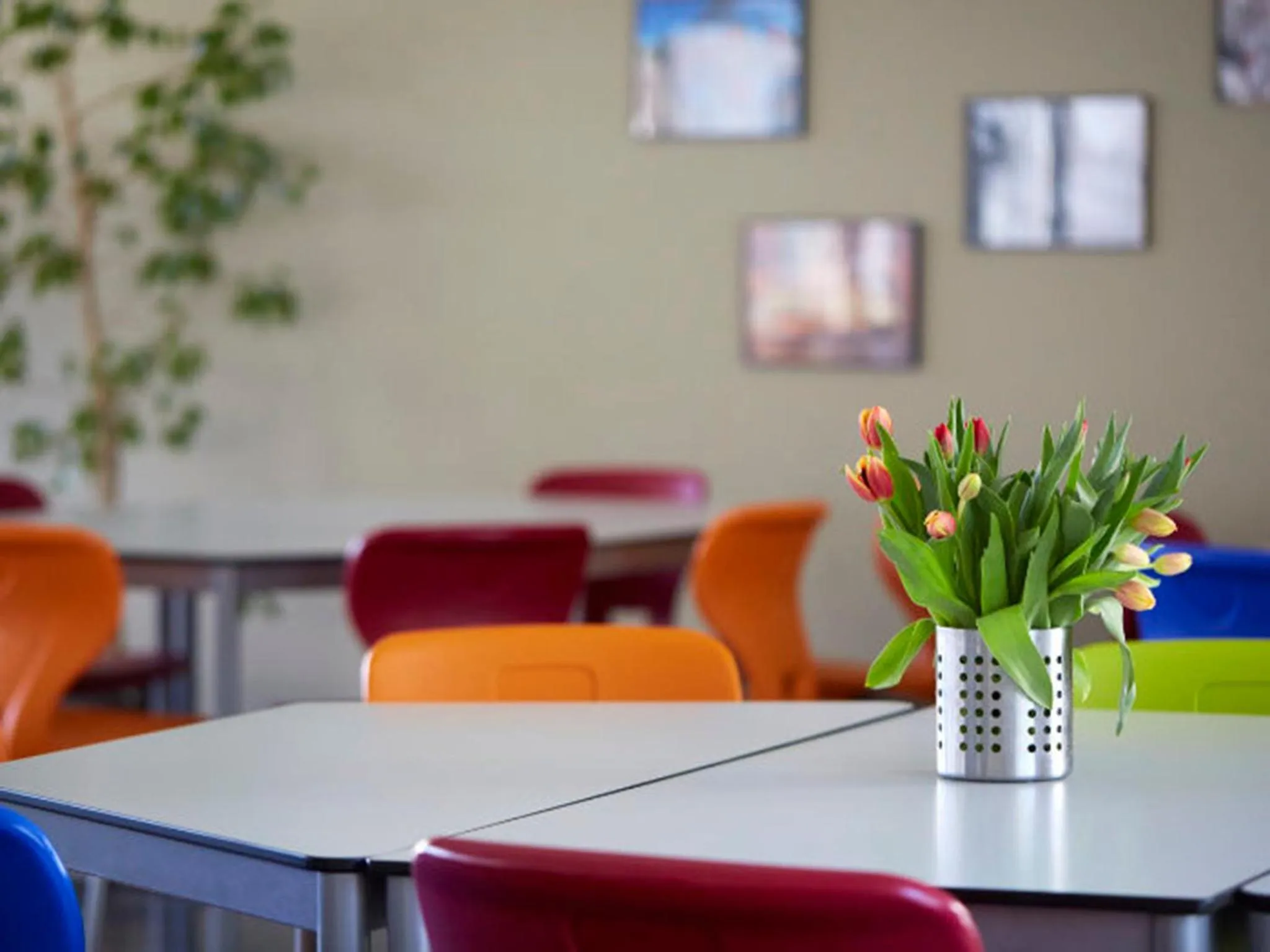 Restaurant/places to eat in Gästehaus des GOETHE-Institut Freiburg