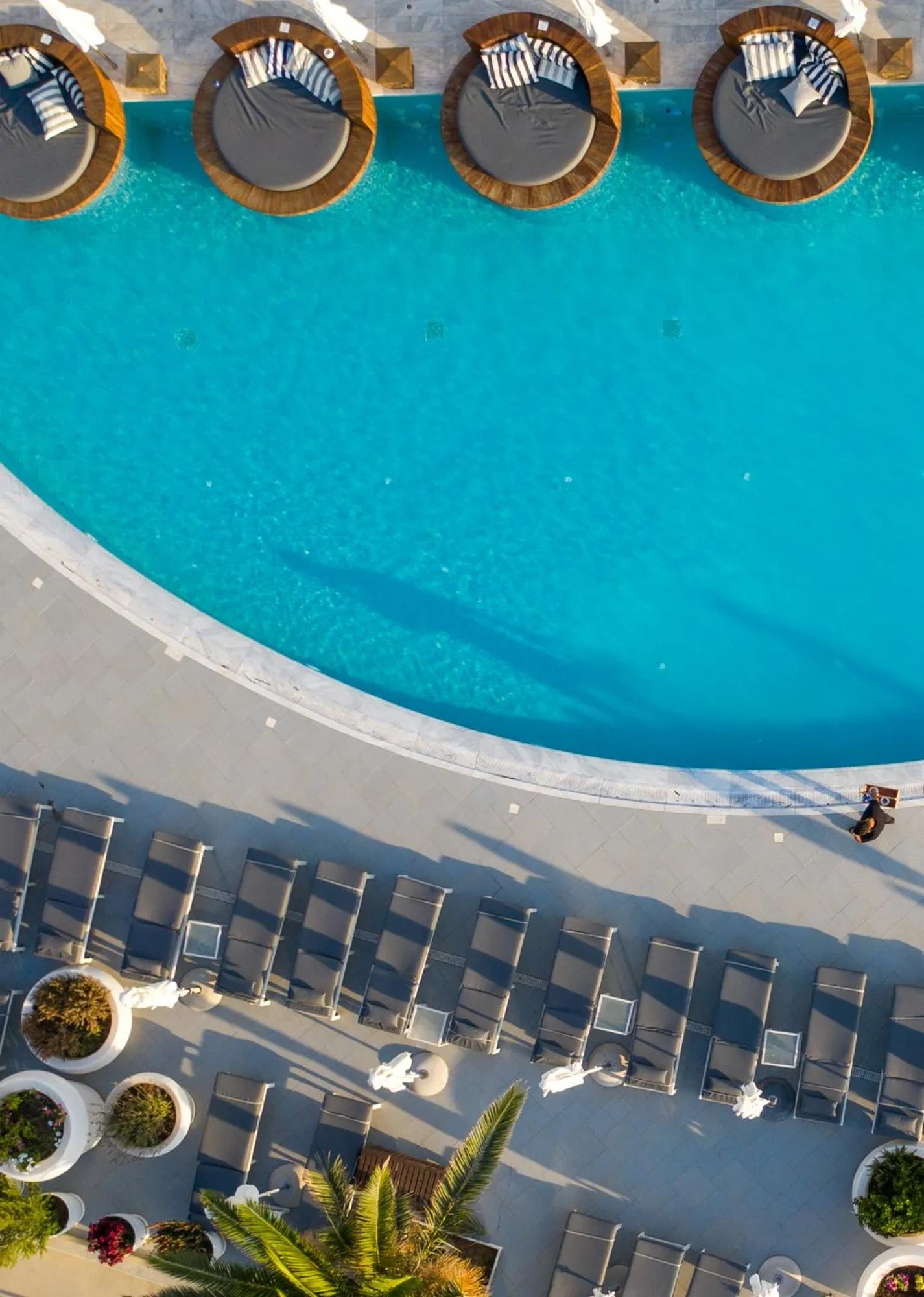 Swimming pool in King Jason Protaras - Designed for Adults by Louis Hotels