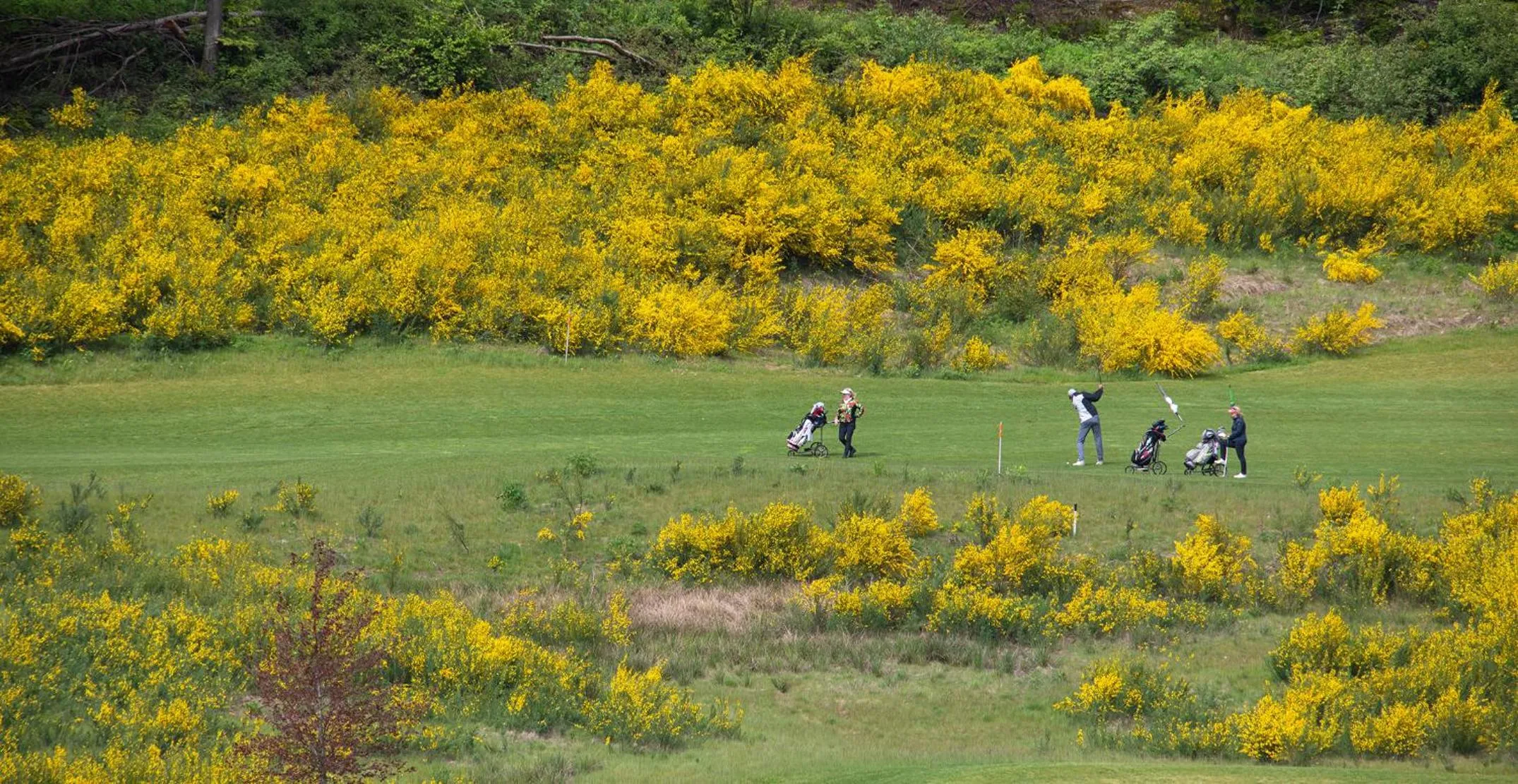 Hotel Weiherhof am Golfpark