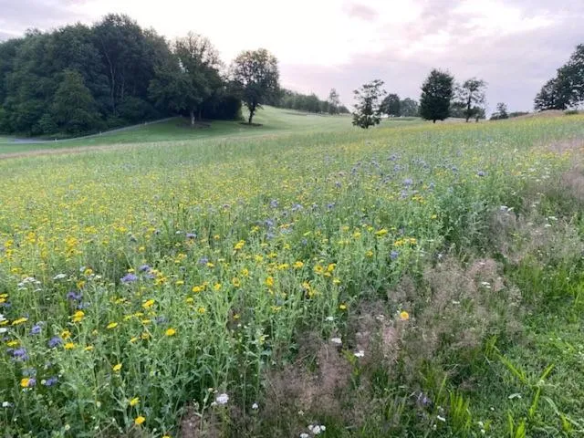 Hiking in Hotel Weiherhof am Golfpark
