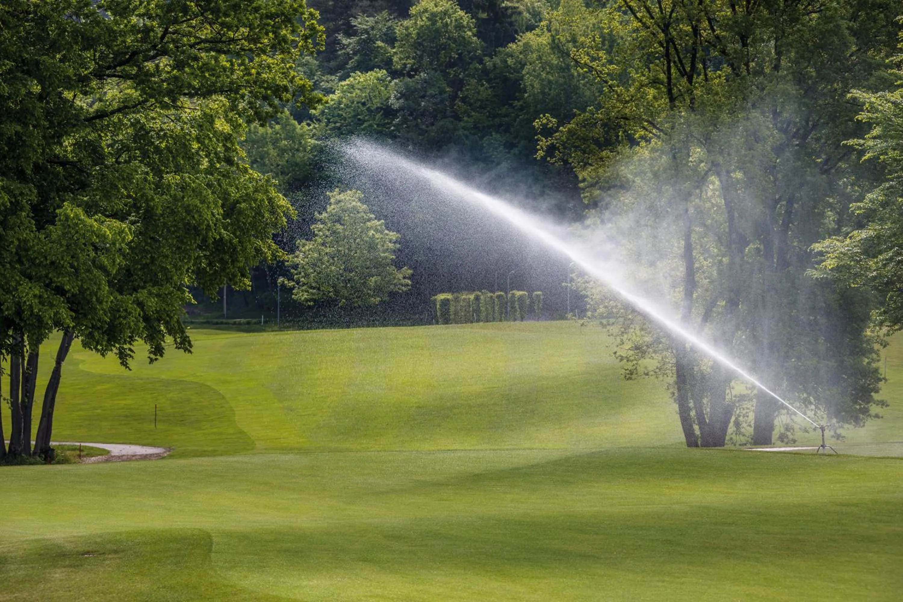 Golfcourse in Hotel Weiherhof am Golfpark