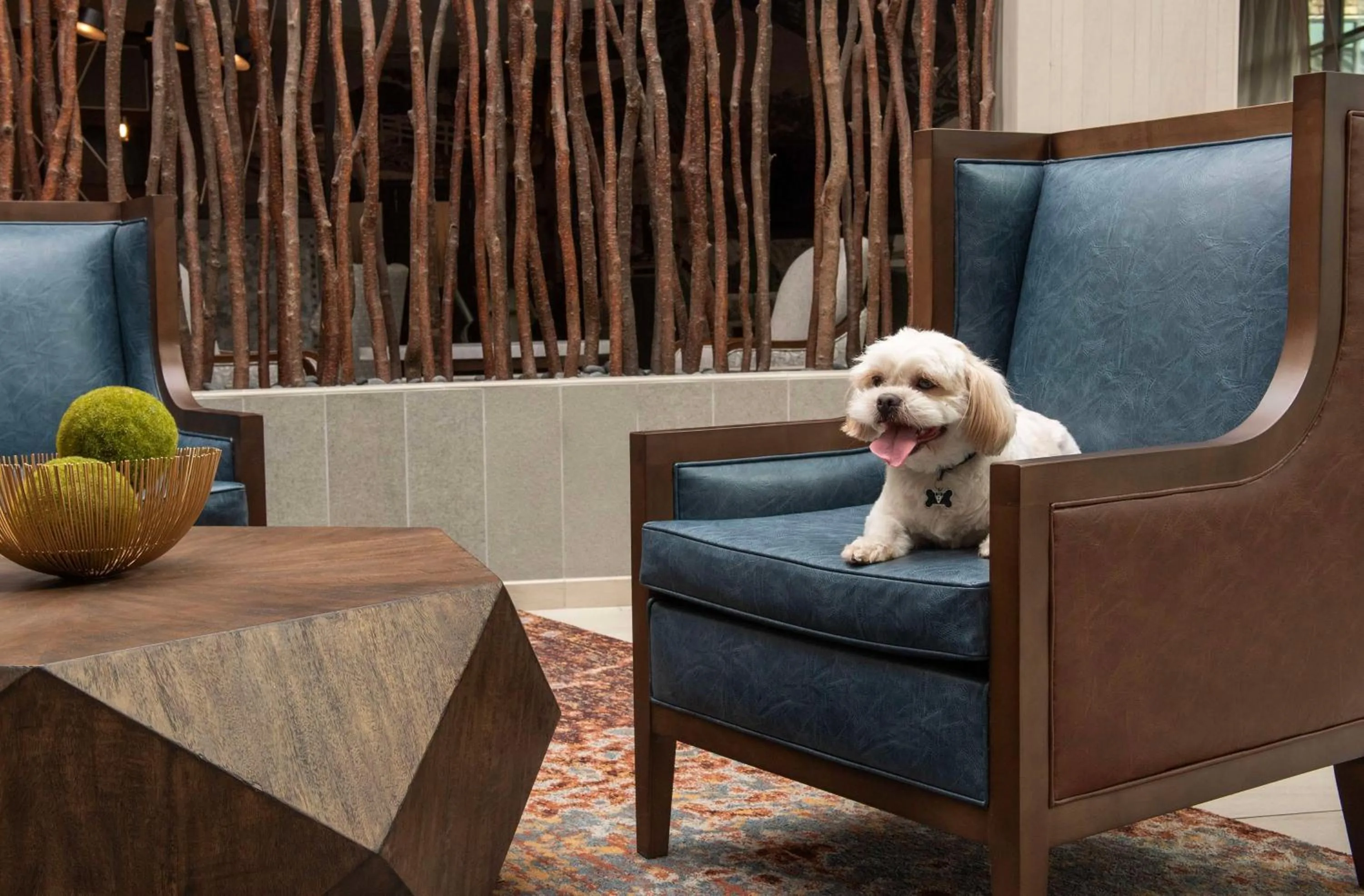 Other in Embassy Suites Springfield