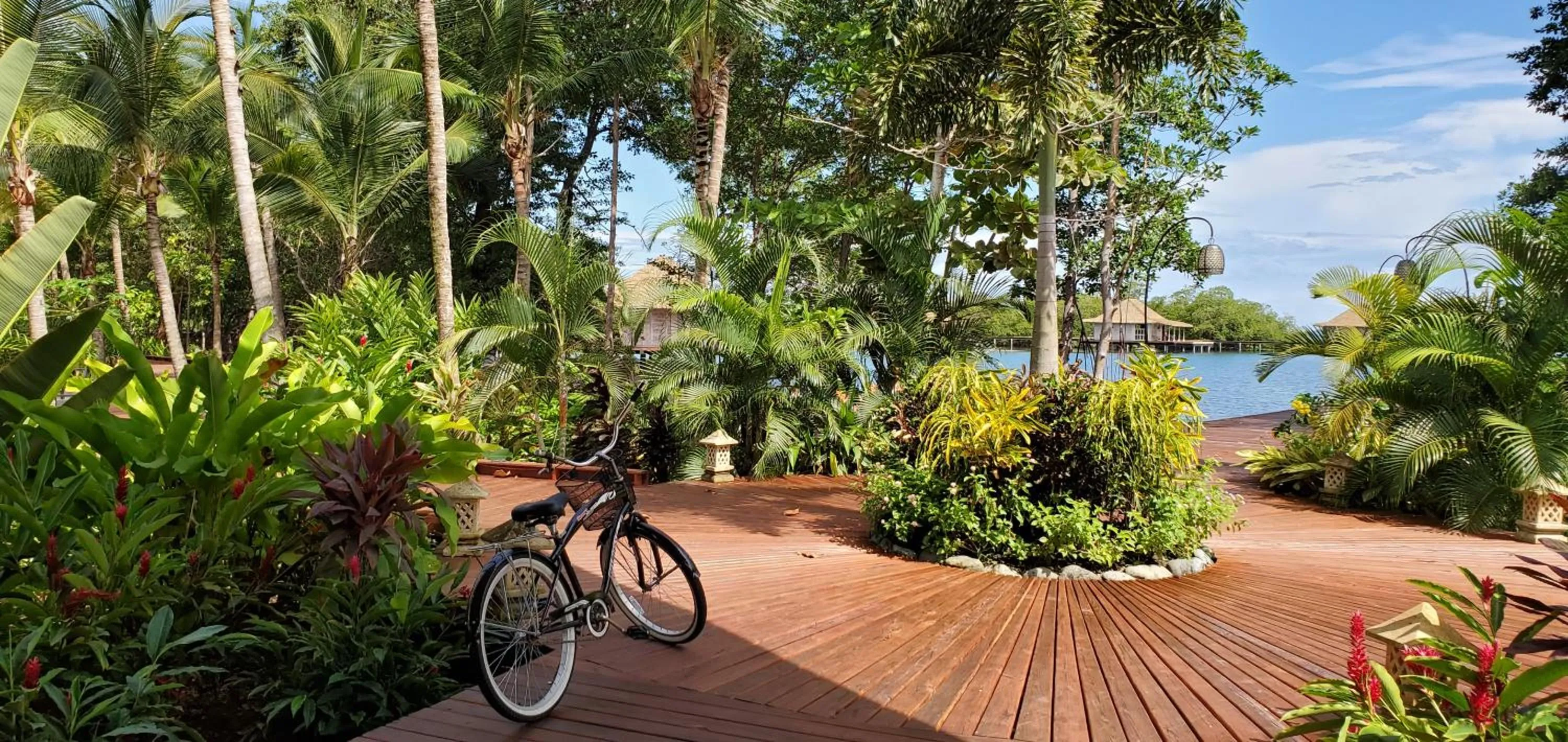Garden in Nayara Bocas del Toro