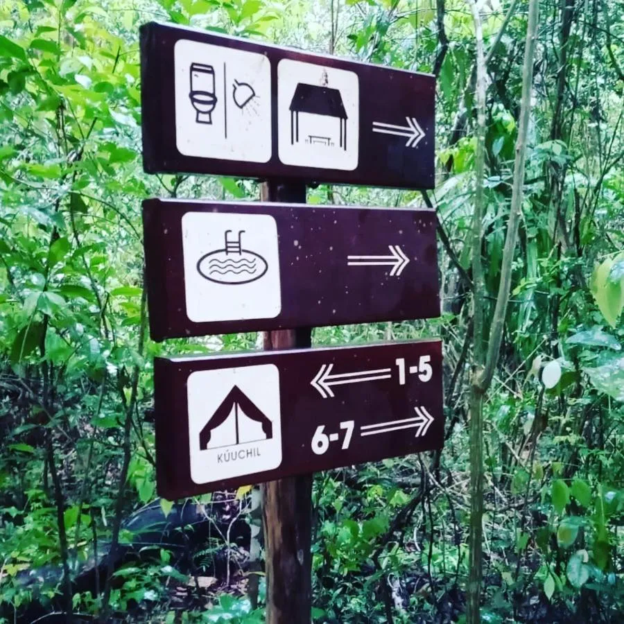 Decorative detail in Glamping Mama Loo mm