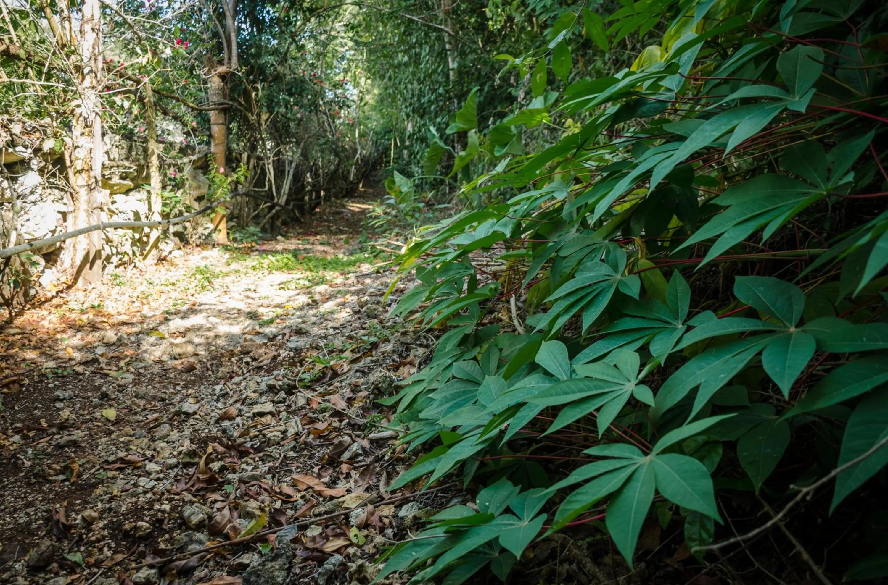 Hiking in Glamping Mama Loo mm