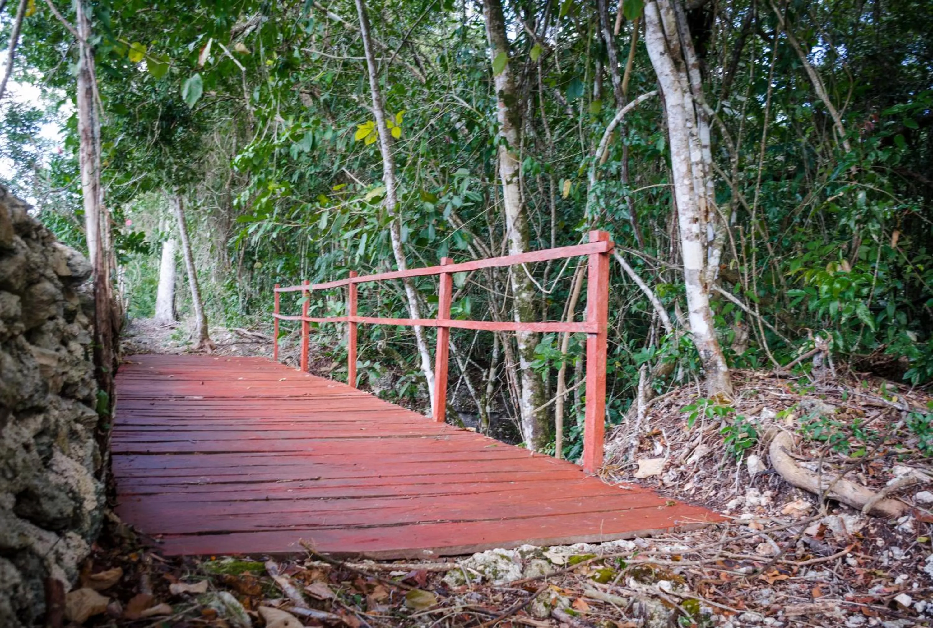 Hiking in Glamping Mama Loo mm
