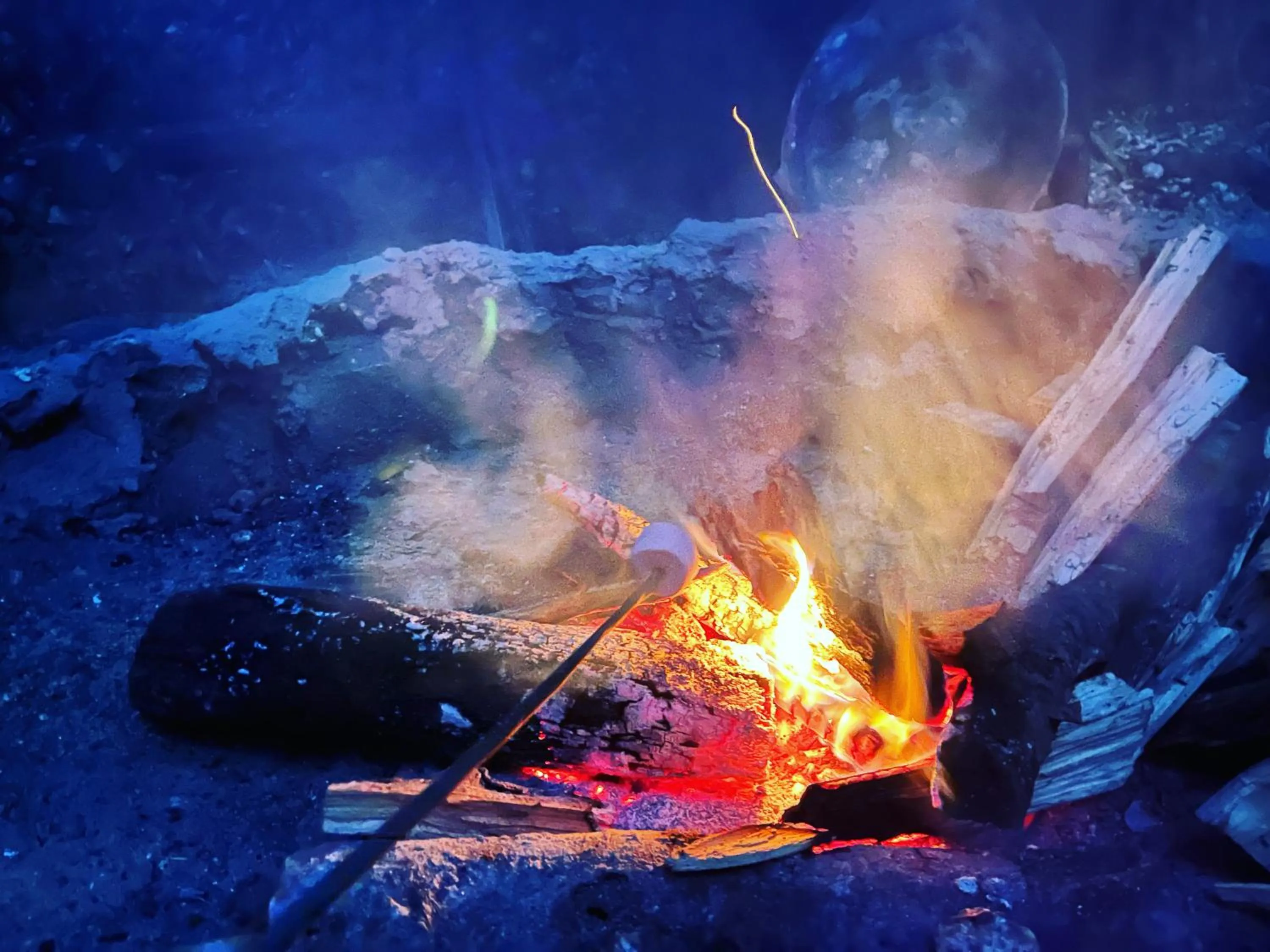 Decorative detail in Glamping Mama Loo mm