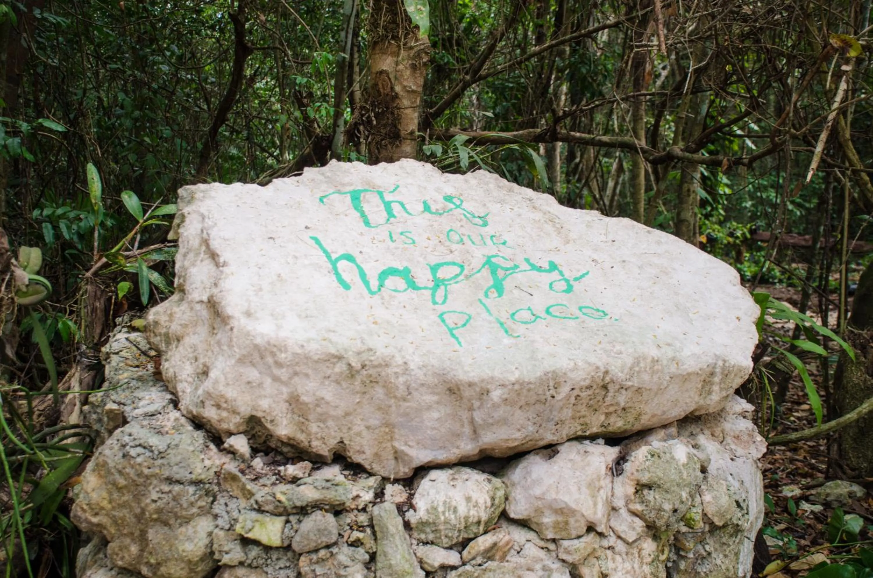 Area and facilities in Glamping Mama Loo mm