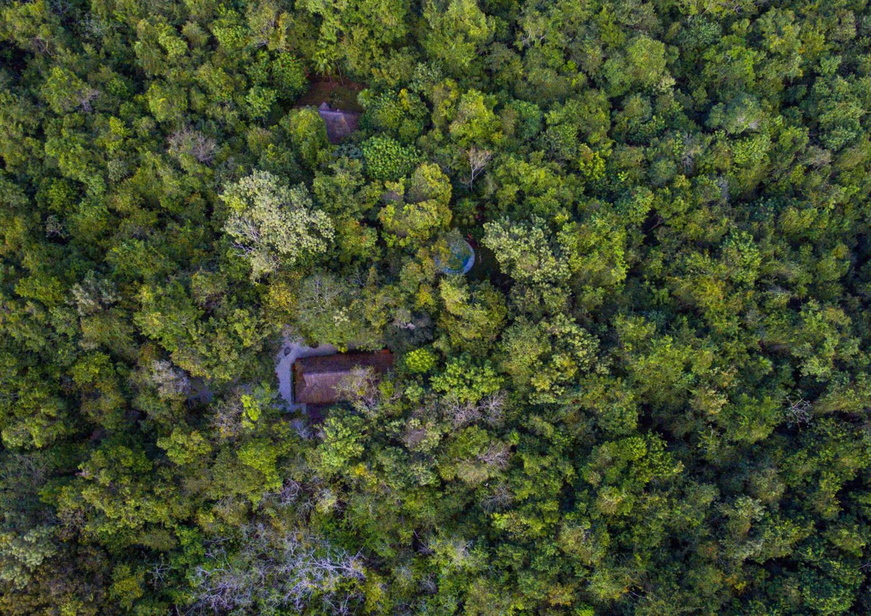 Bird's eye view in Glamping Mama Loo mm