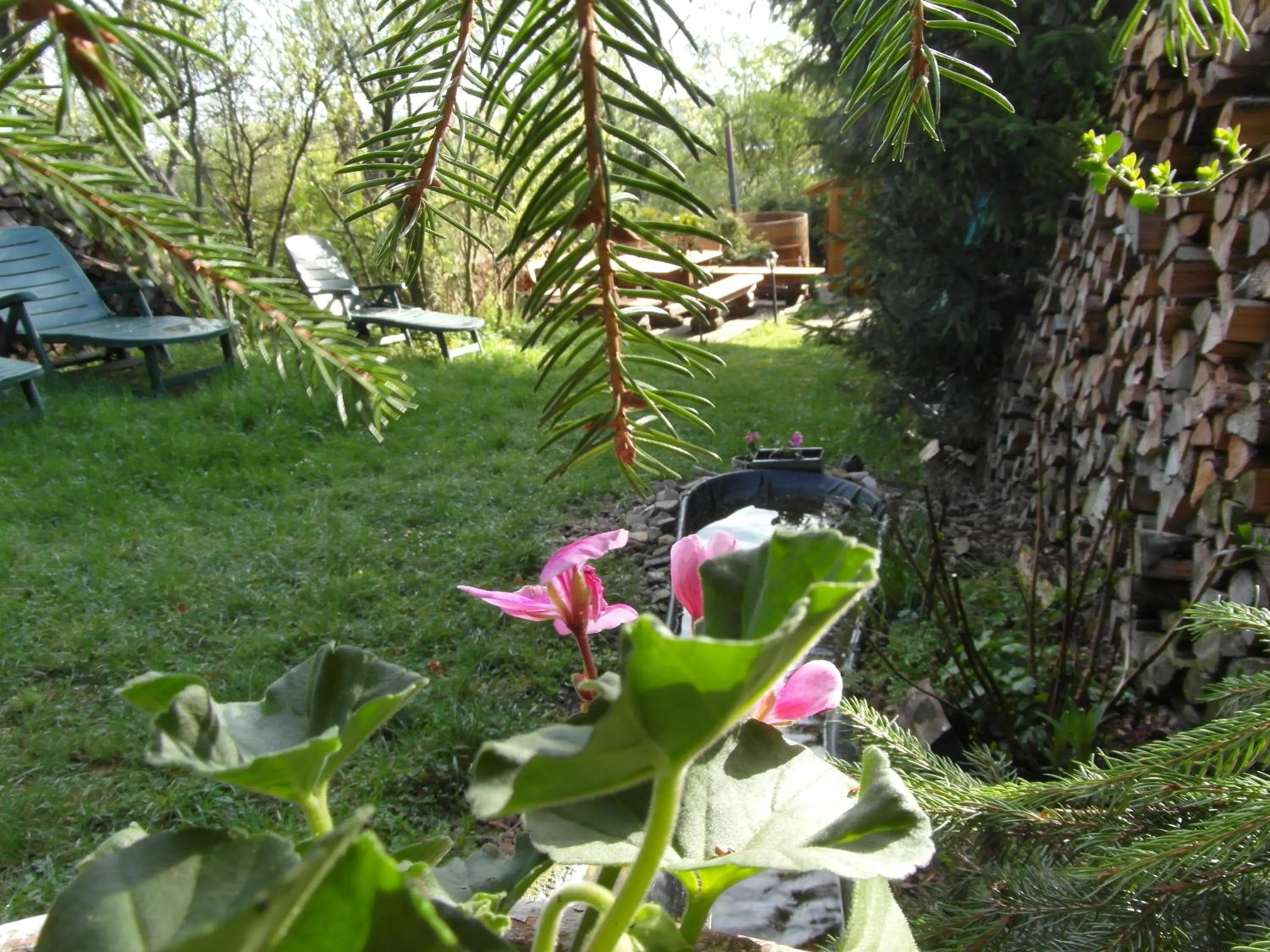 Garden in Landhotel BurgenBlick Garni & Tagungshotel