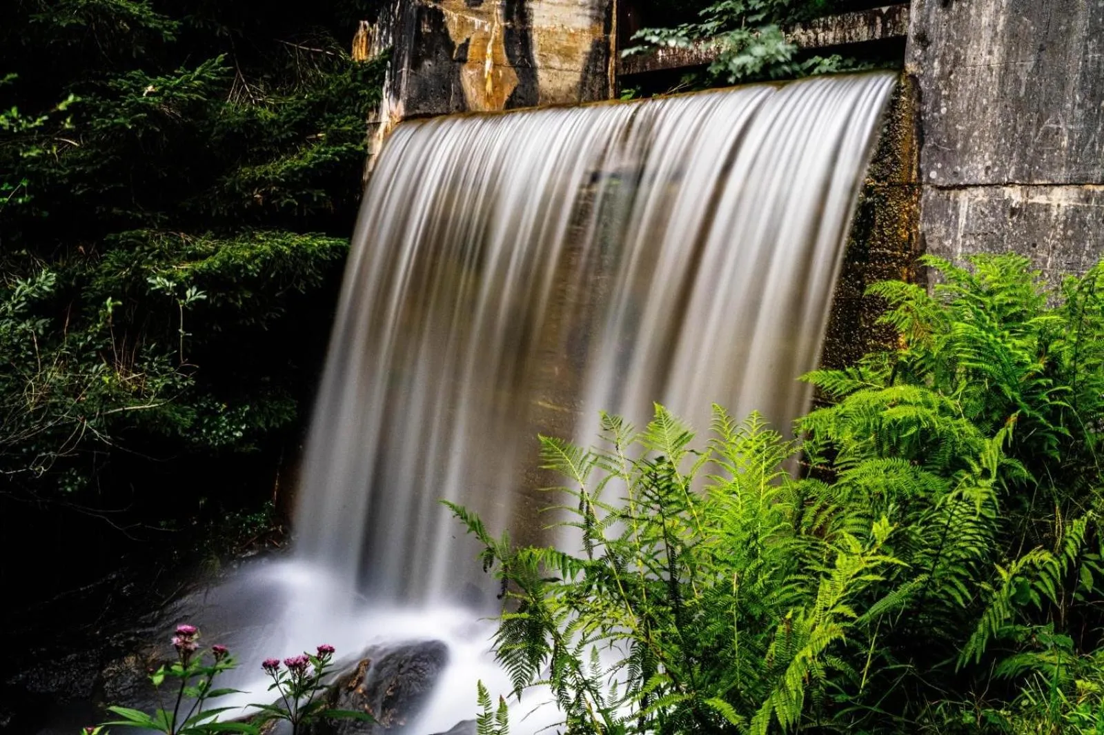 Other in Restaurant Appartements Almdiele