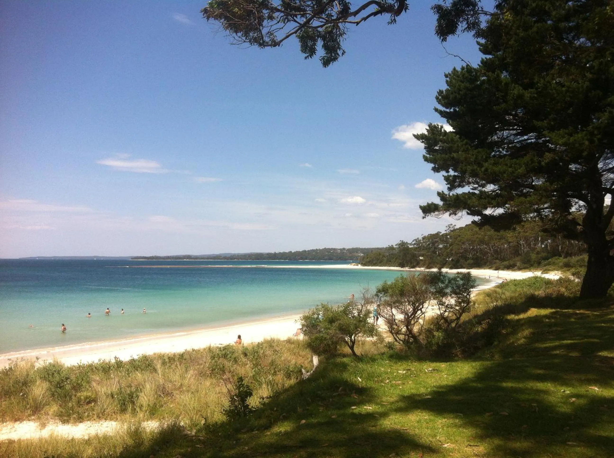 Natural landscape in Huskisson Beach Motel