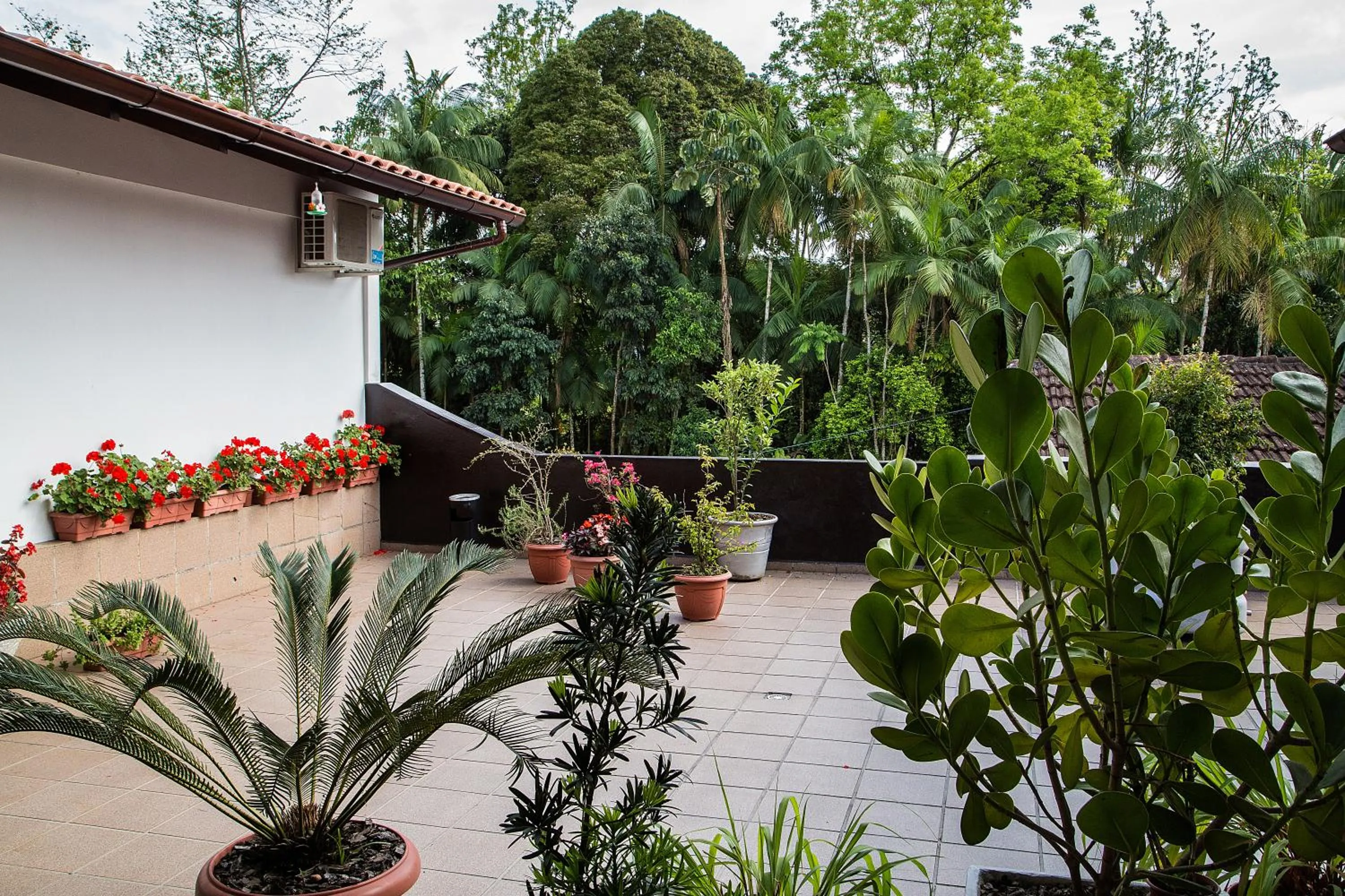 Natural landscape in Pousada Oma Helga