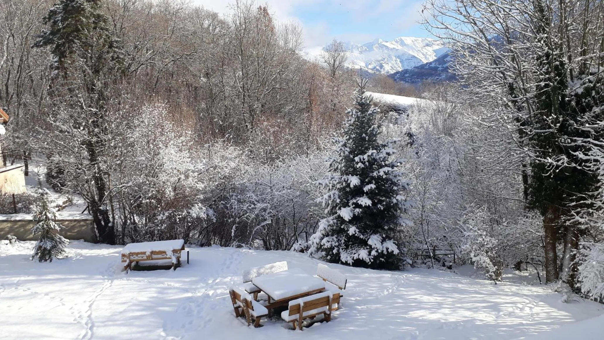 Winter in LES PRIMEVERES