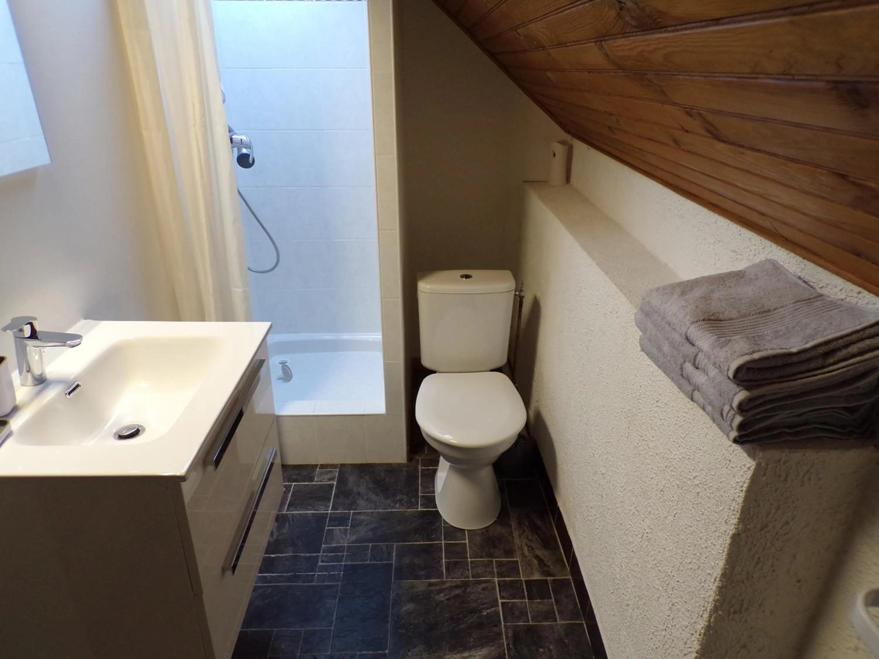 Toilet in LES PRIMEVERES