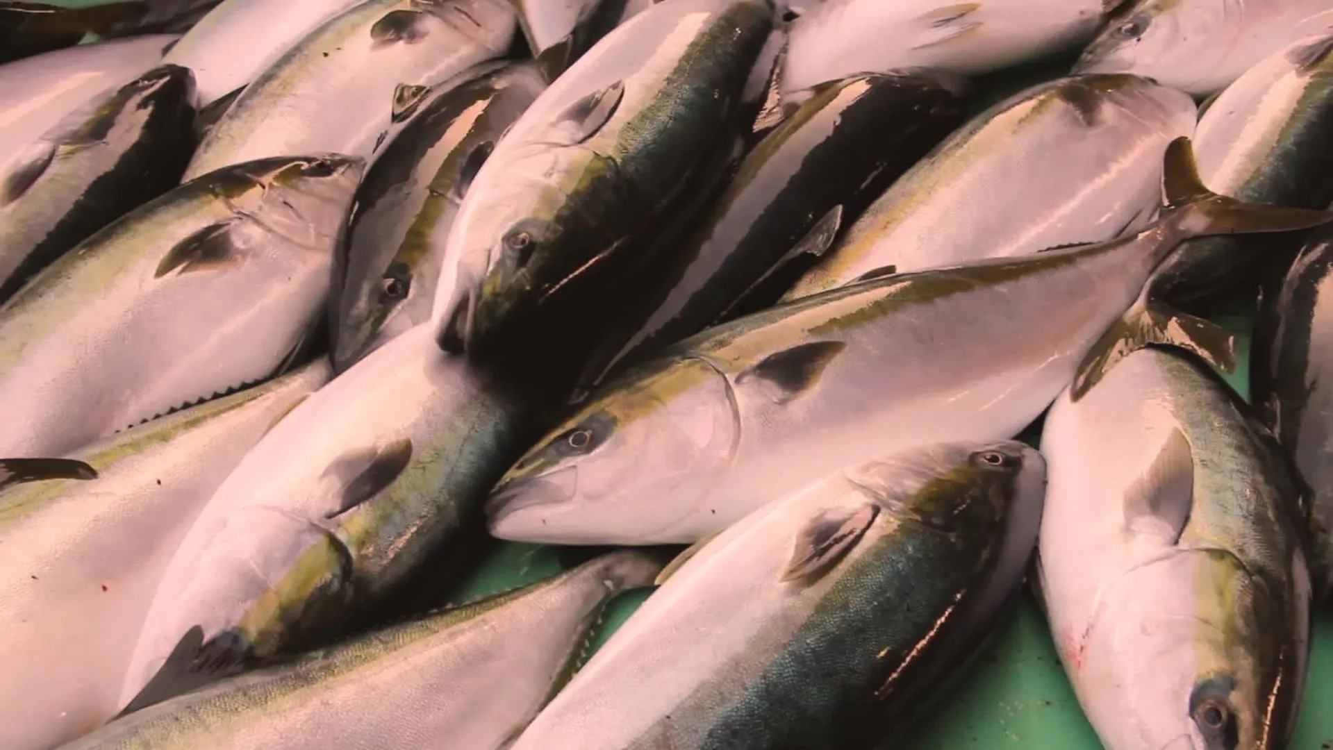 Neighbourhood in Umiakari