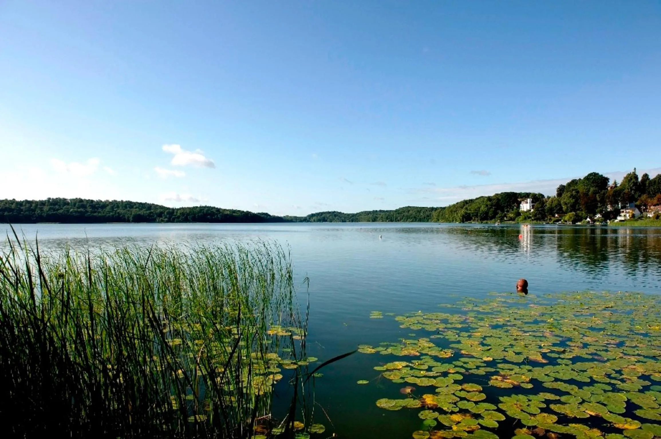 Natural landscape in Hotel Der Seehof