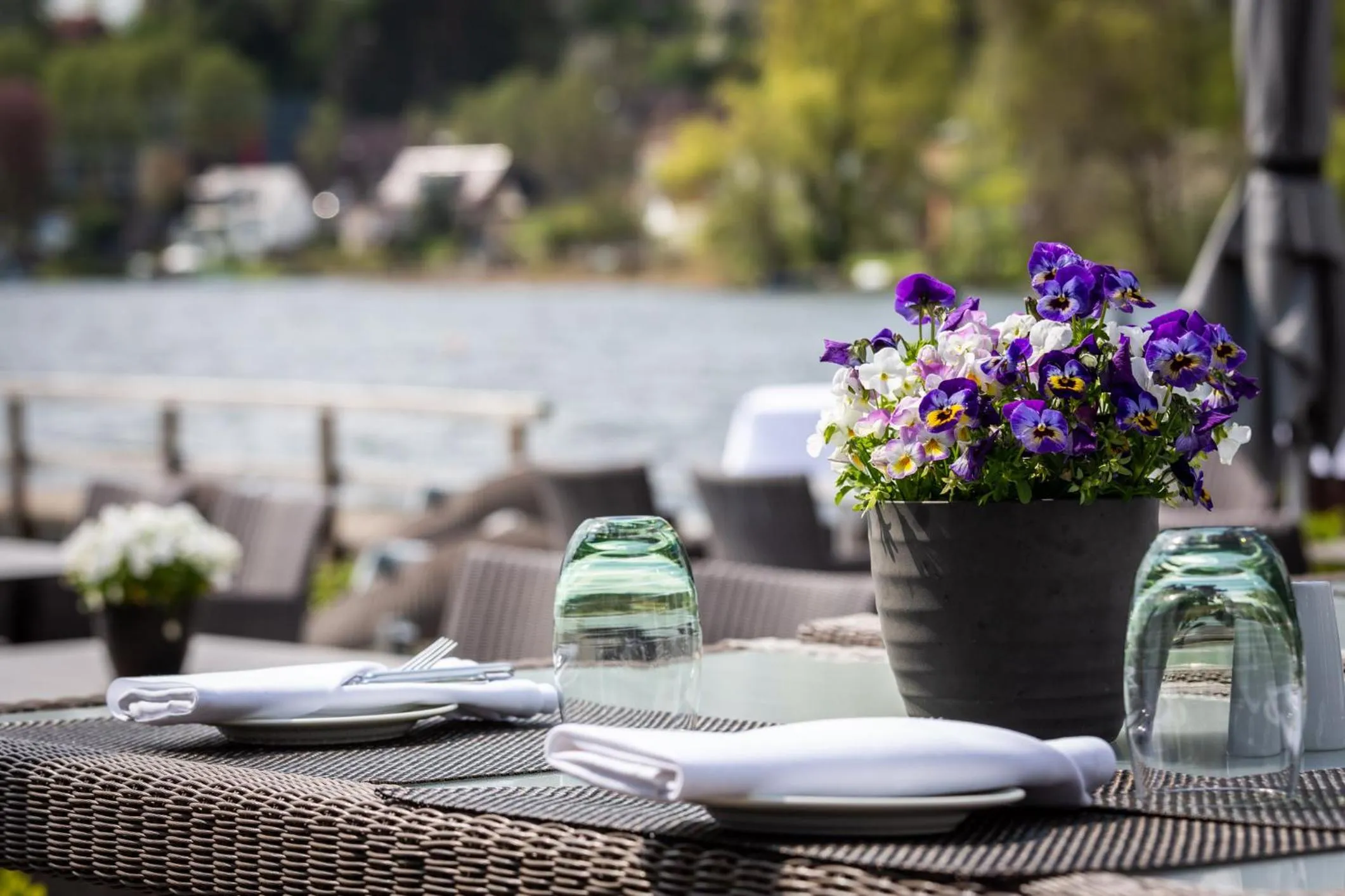 Balcony/Terrace in Hotel Der Seehof